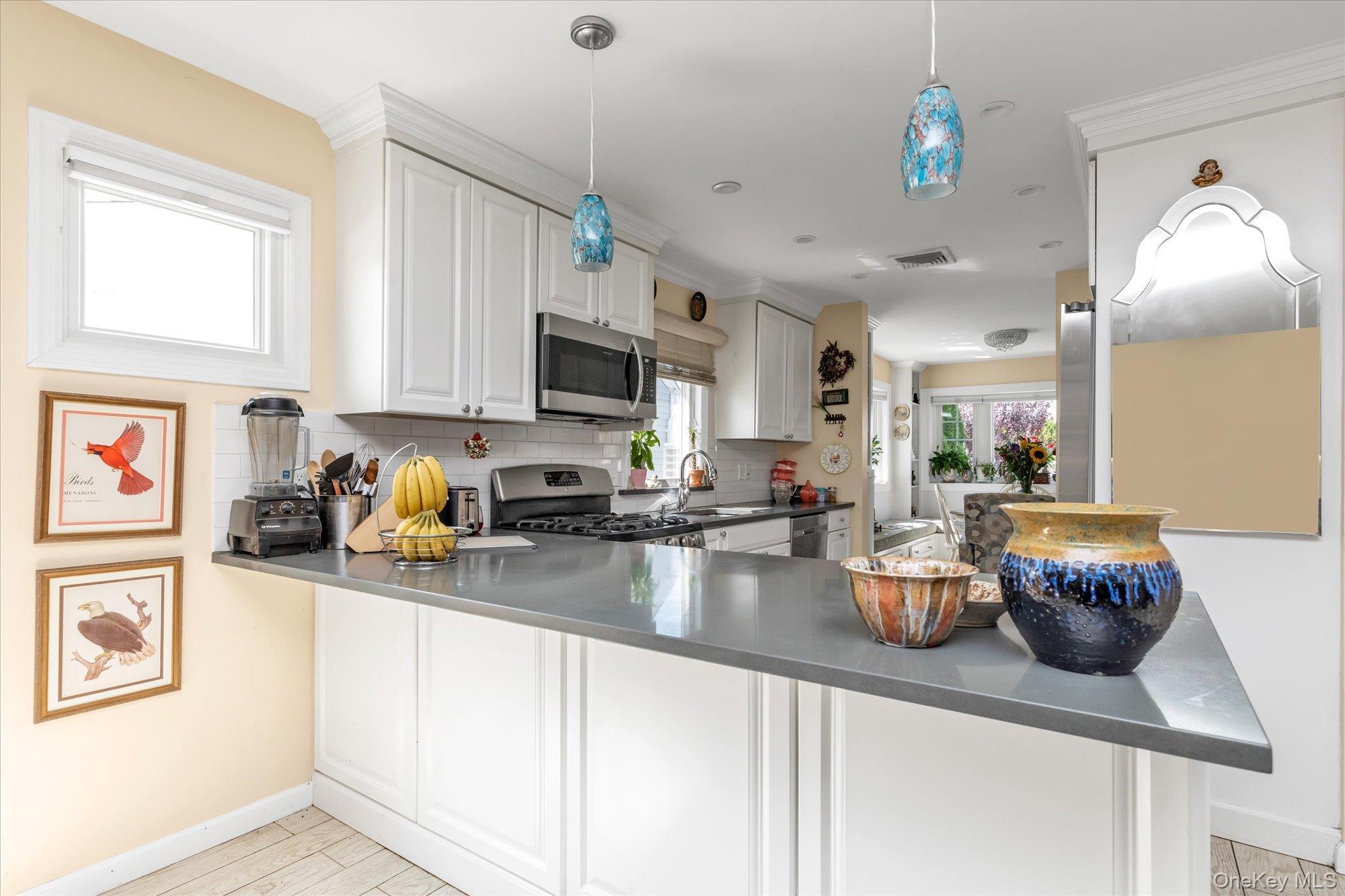 Single Family Penn Nassau County, NY 11561, MLS-898721-14