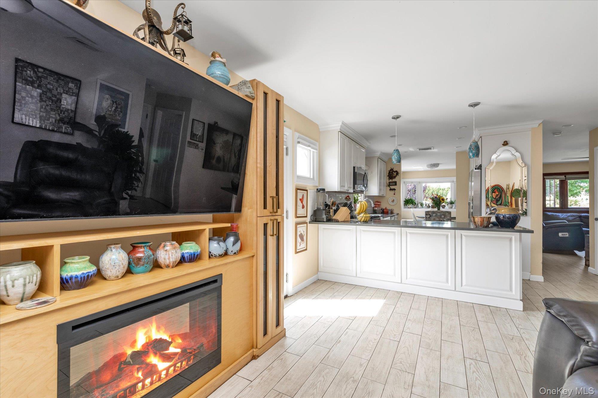 Single Family Penn Nassau County, NY 11561, MLS-898721-16