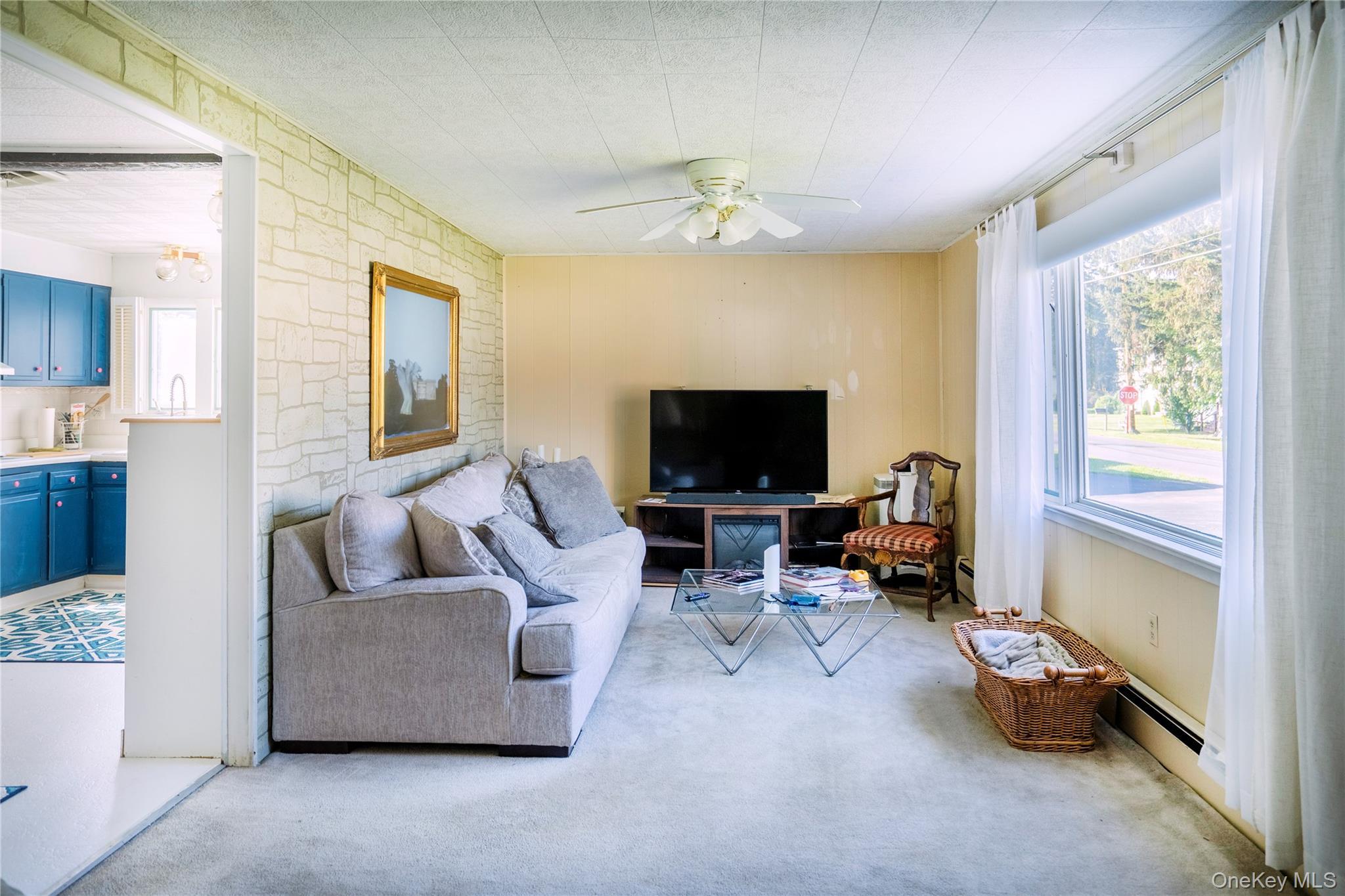 Single Family Hinsdale Ulster County, NY 12401, MLS-898805-7