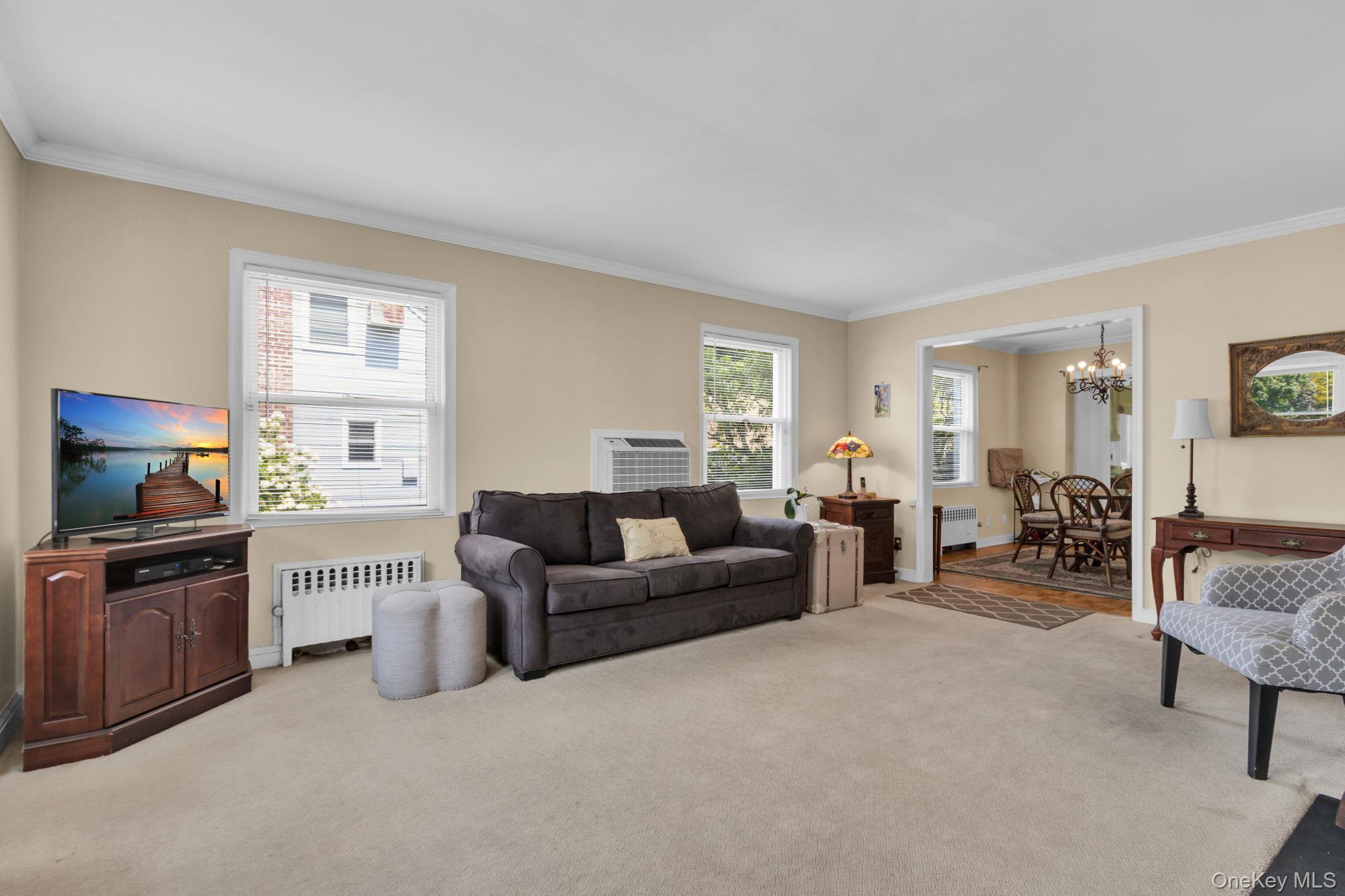 Single Family Coralyn  Westchester County, NY 10605, MLS-898909-8