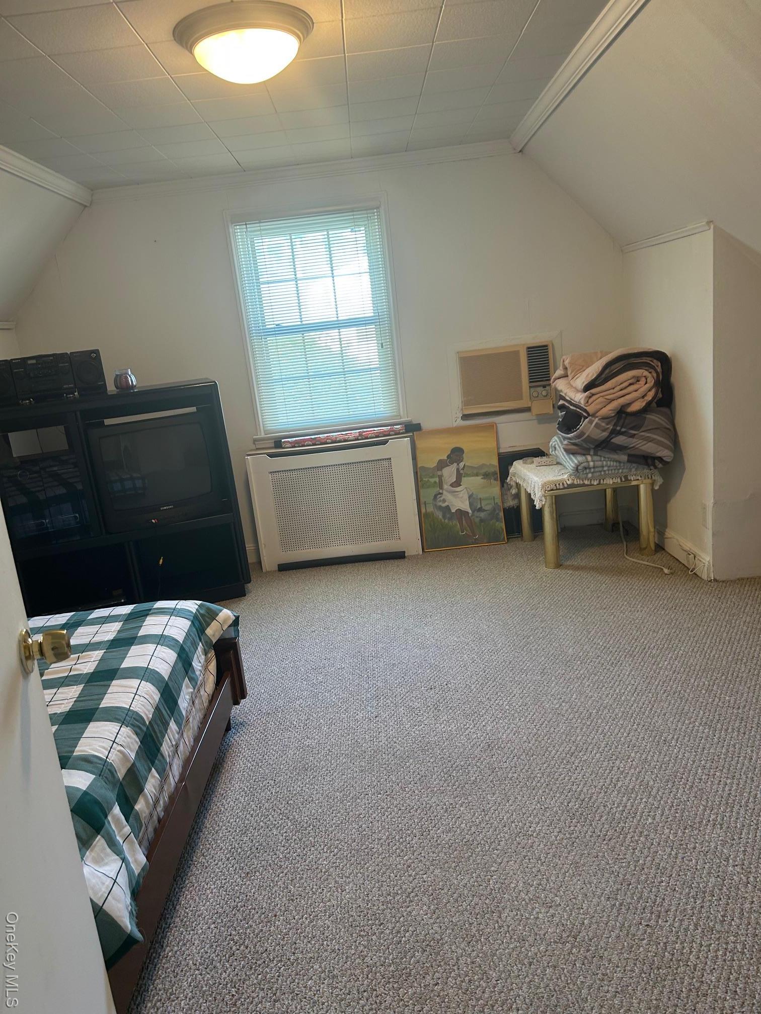 Single Family 256th Queens, NY 11001, MLS-899074-10