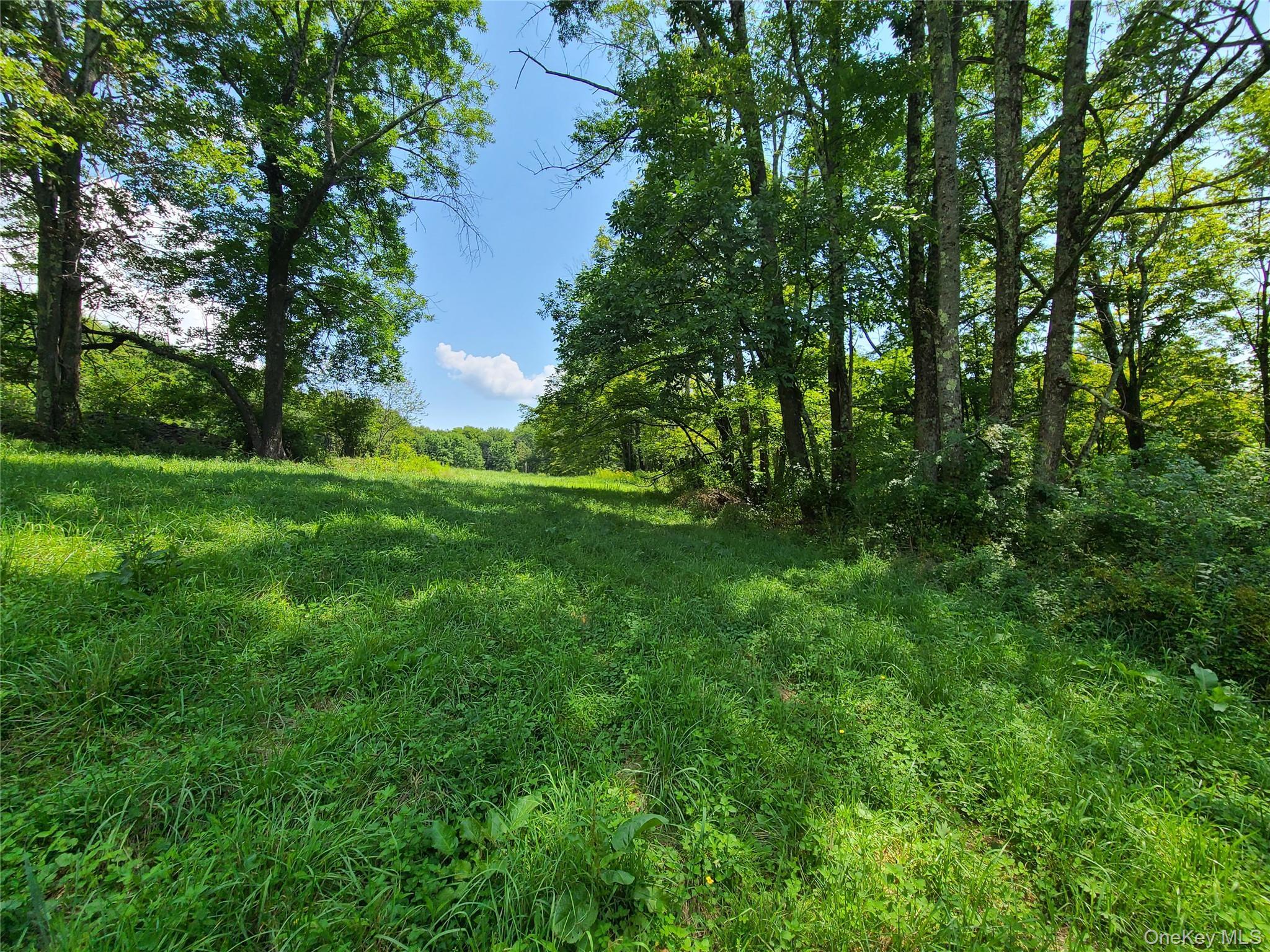 Single Family Stump Pond  Sullivan County, NY 12758, MLS-899106-40