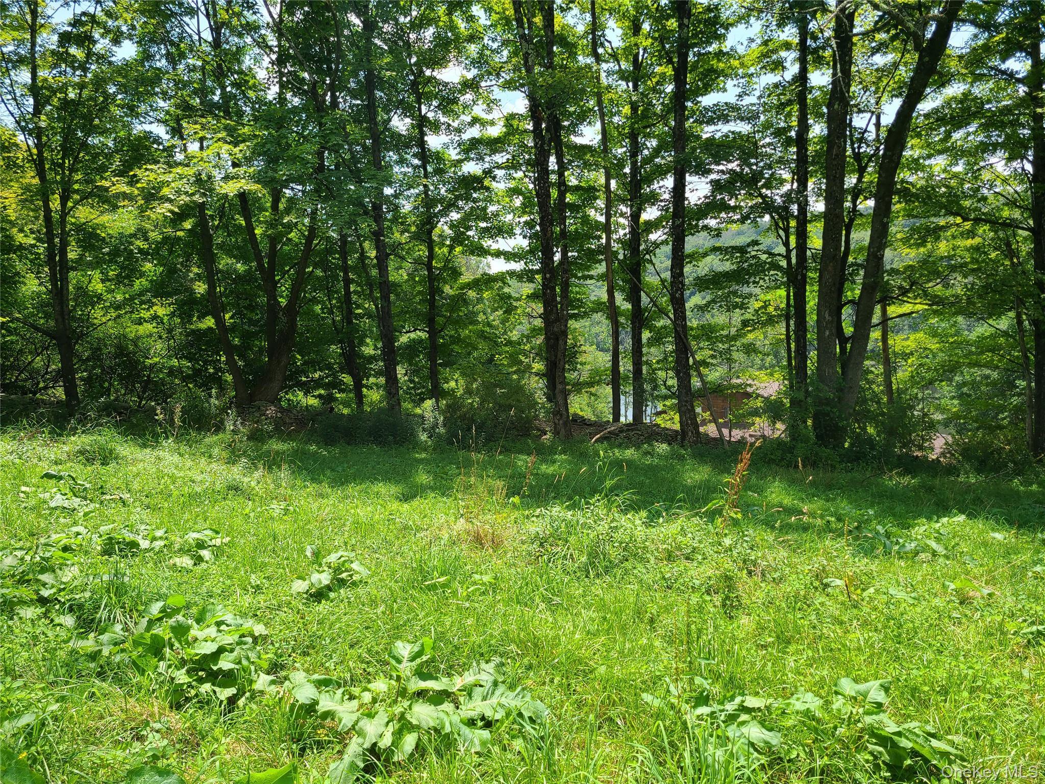 Single Family Stump Pond  Sullivan County, NY 12758, MLS-899106-41