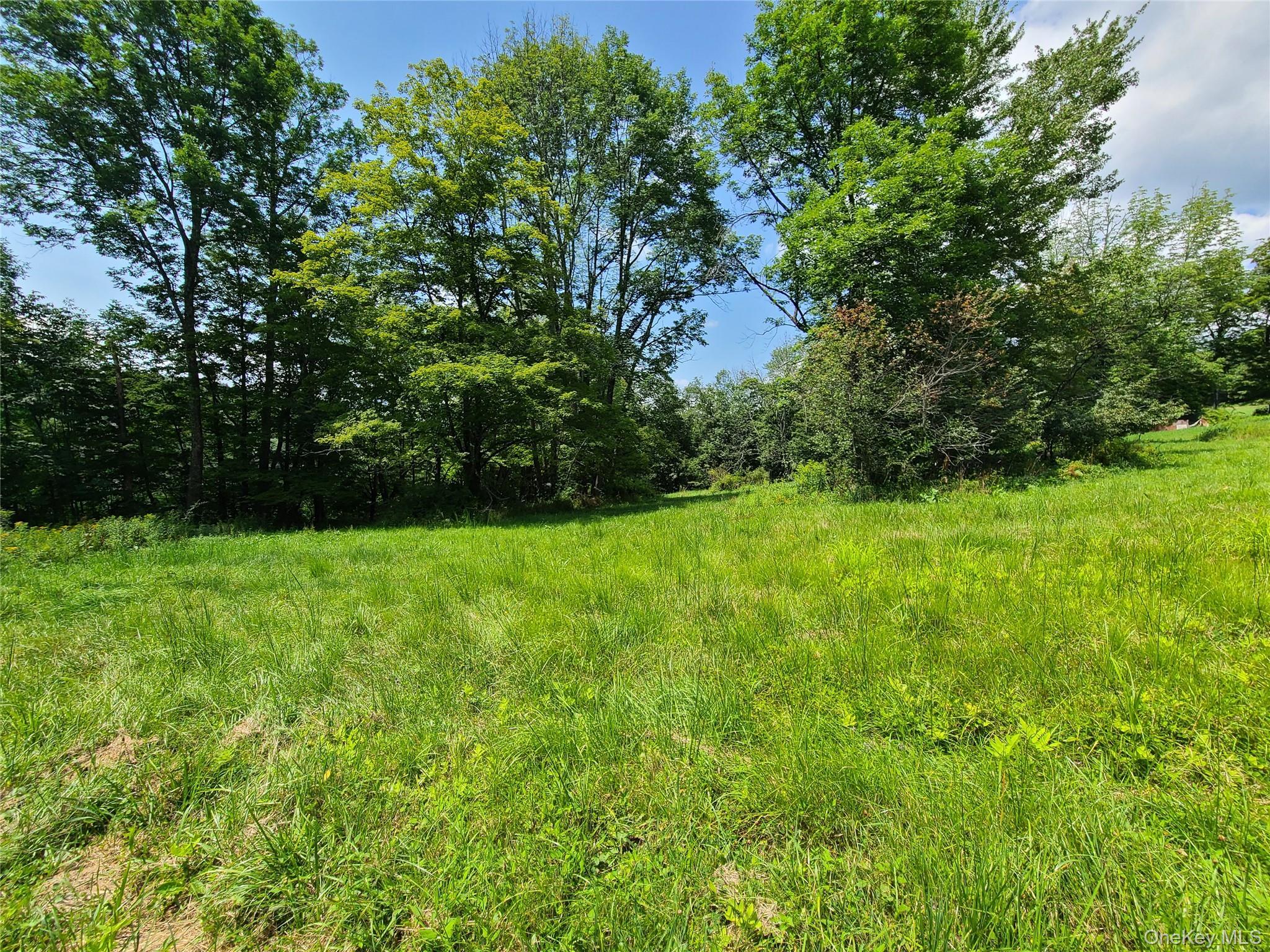 Single Family Stump Pond  Sullivan County, NY 12758, MLS-899106-42