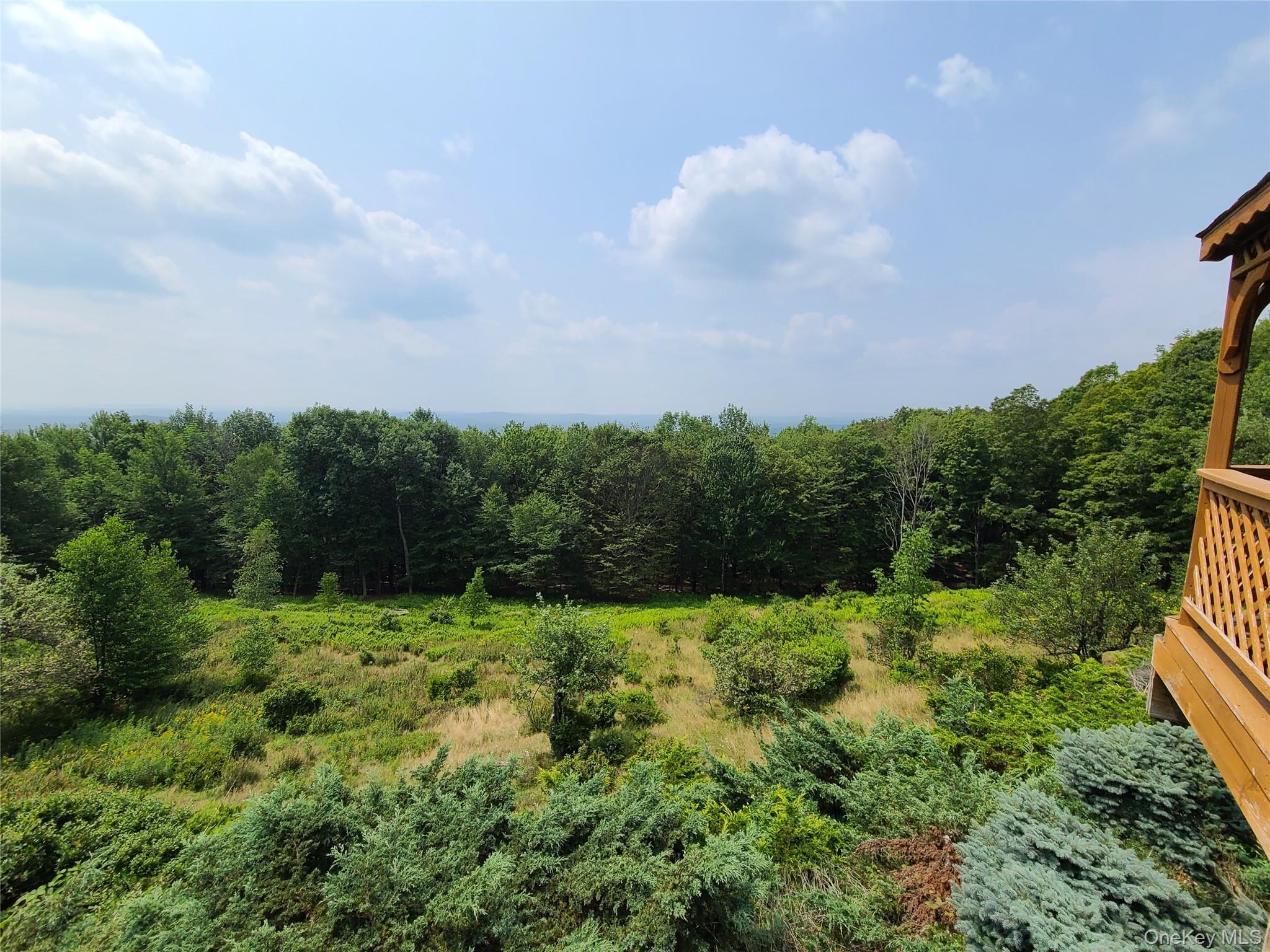 Single Family Skyline  Sullivan County, NY 12788, MLS-899112-31