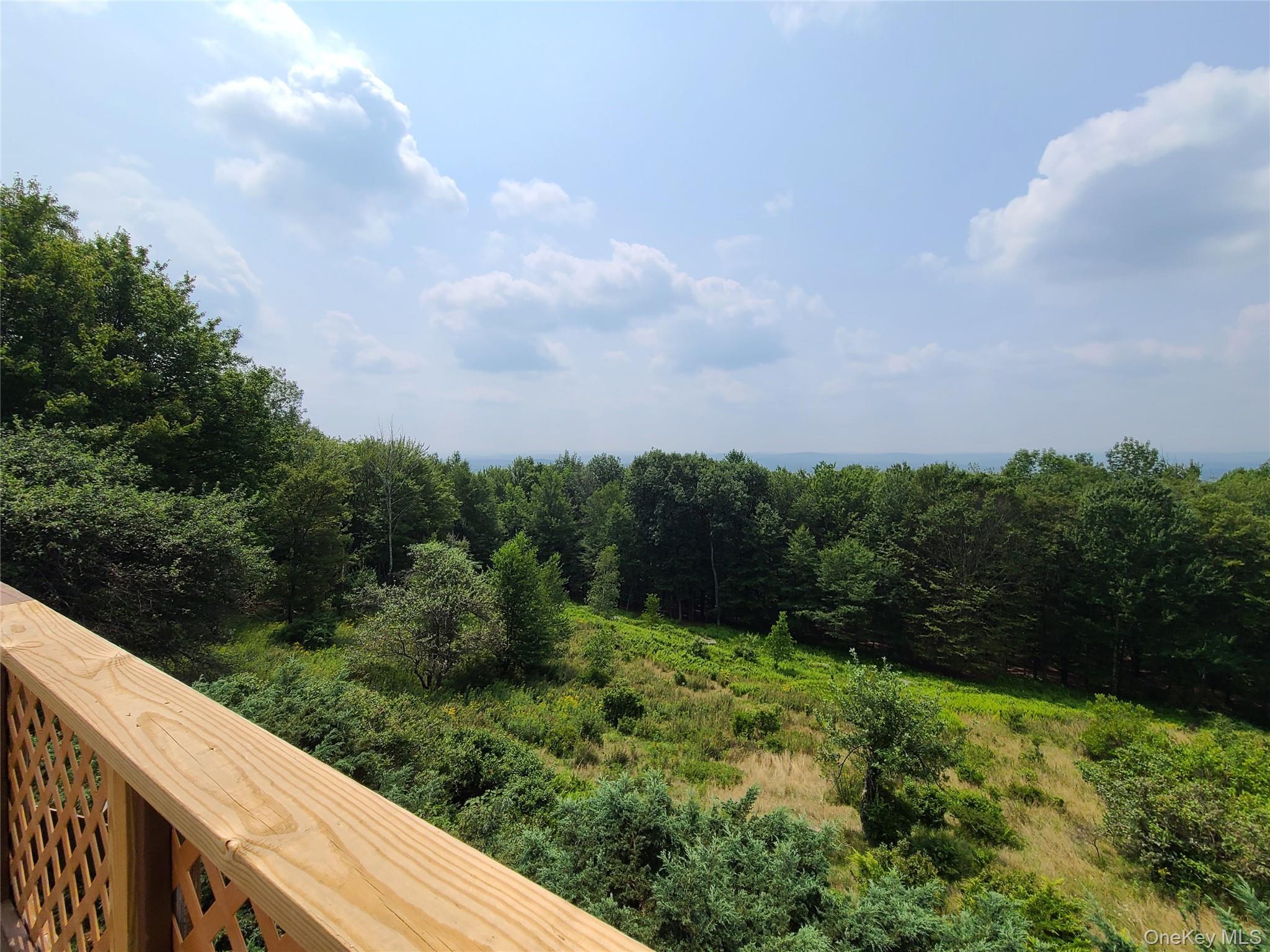 Single Family Skyline  Sullivan County, NY 12788, MLS-899112-32