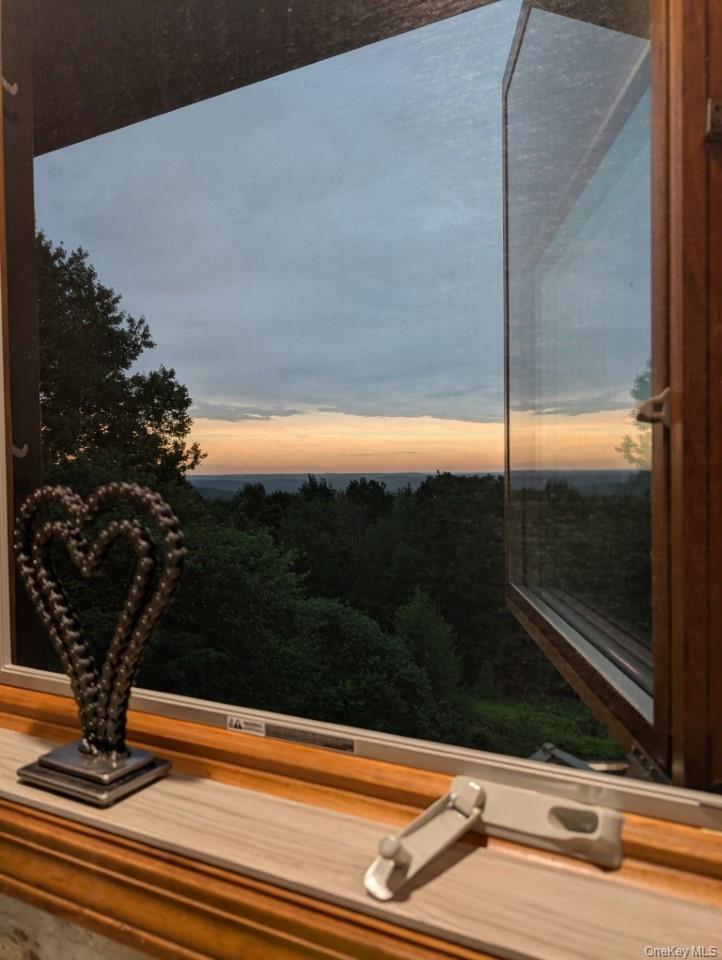 Single Family Skyline  Sullivan County, NY 12788, MLS-899112-38