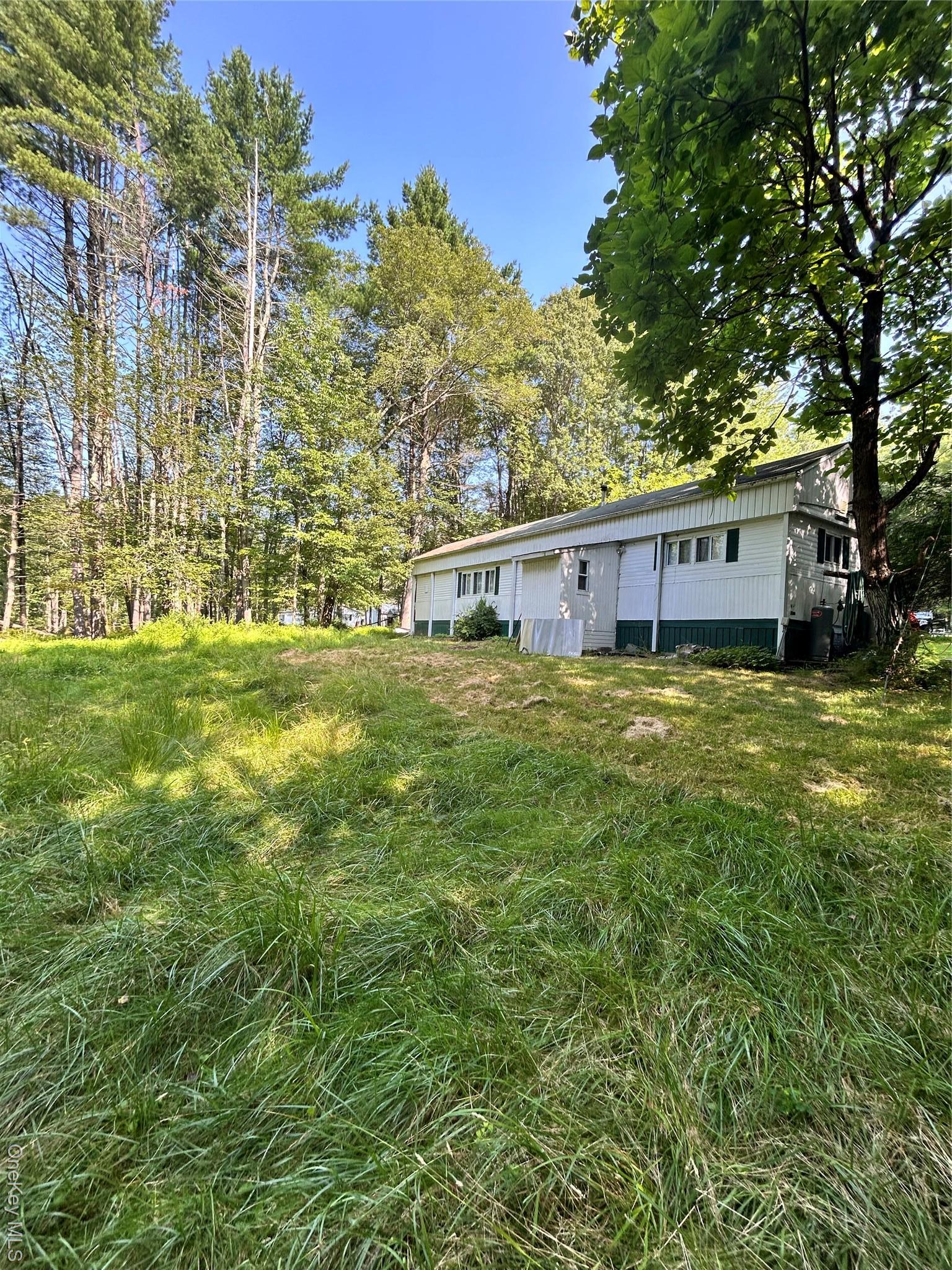 Single Family Buff  Sullivan County, NY 12726, MLS-899177-12