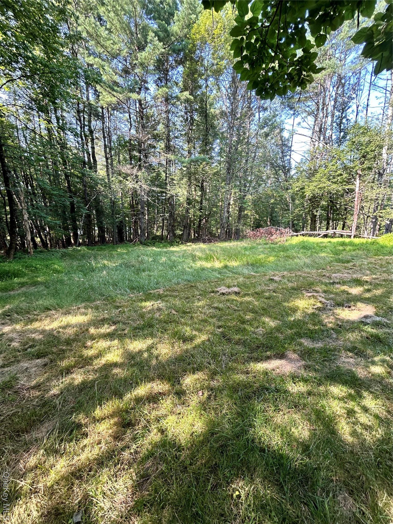 Single Family Buff  Sullivan County, NY 12726, MLS-899177-13