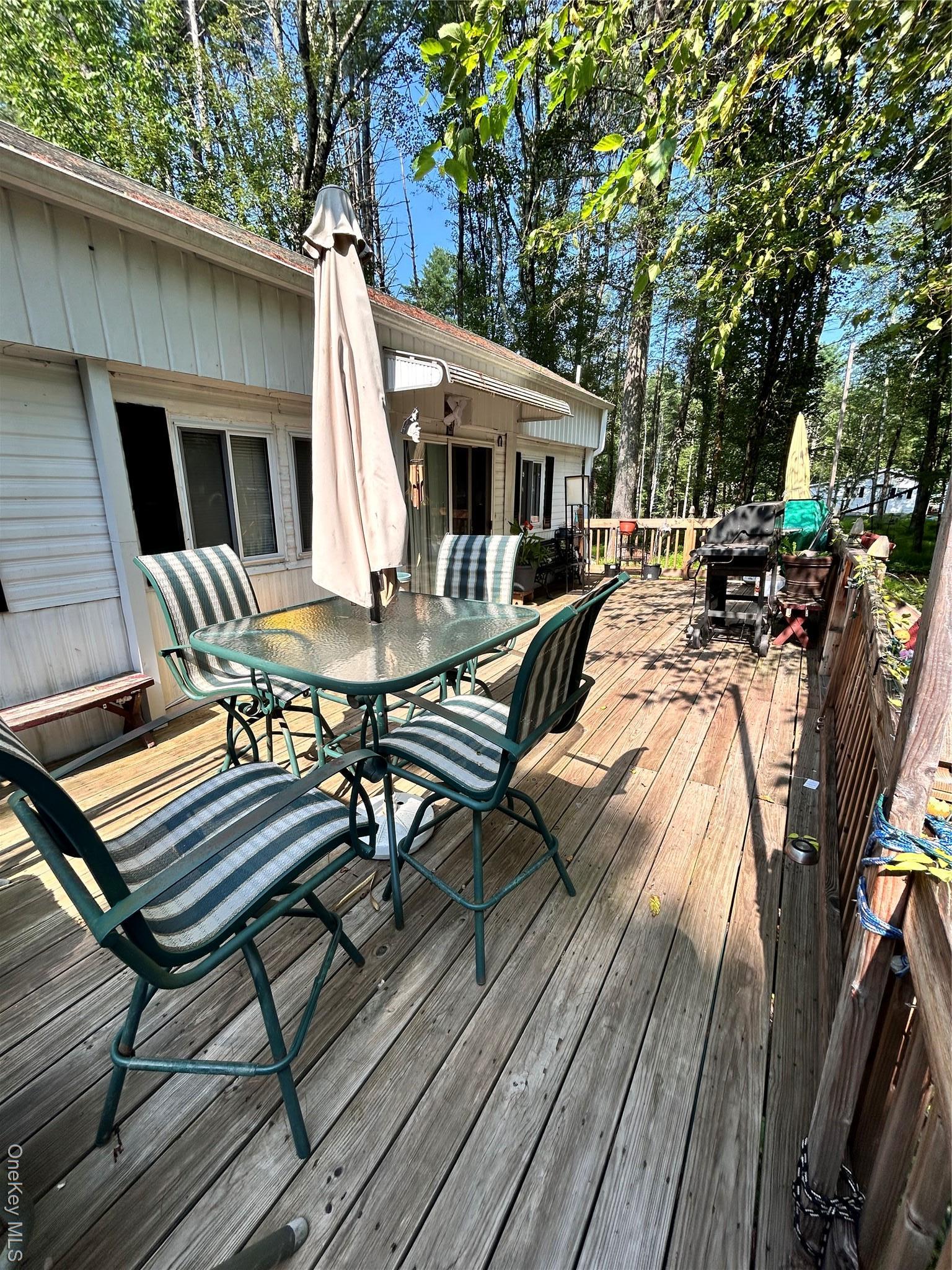 Single Family Buff  Sullivan County, NY 12726, MLS-899177-2