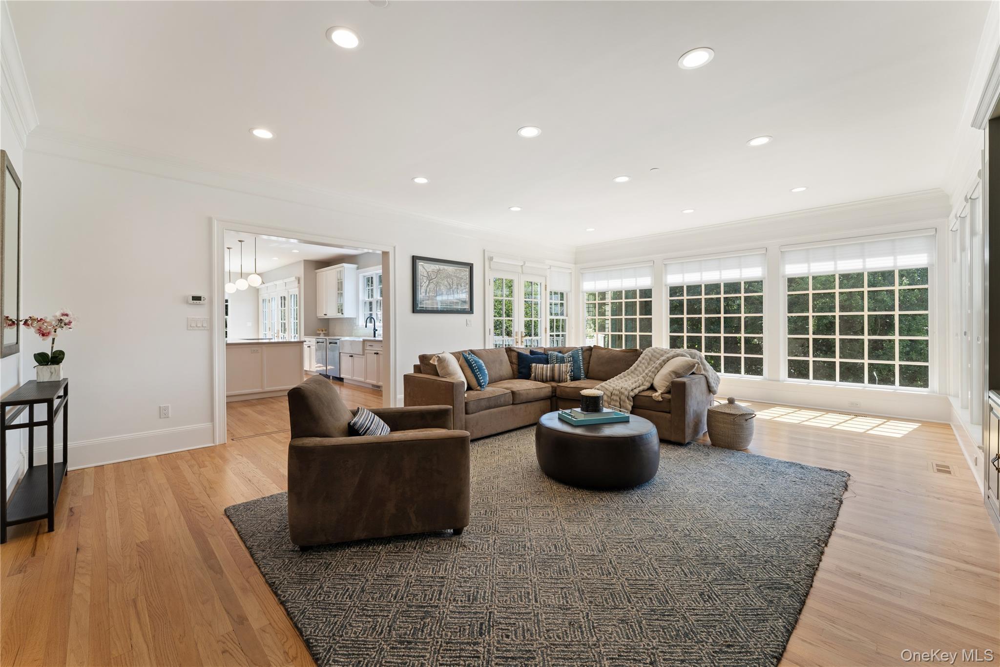 Single Family Belmont Westchester County, NY 10533, MLS-899362-7