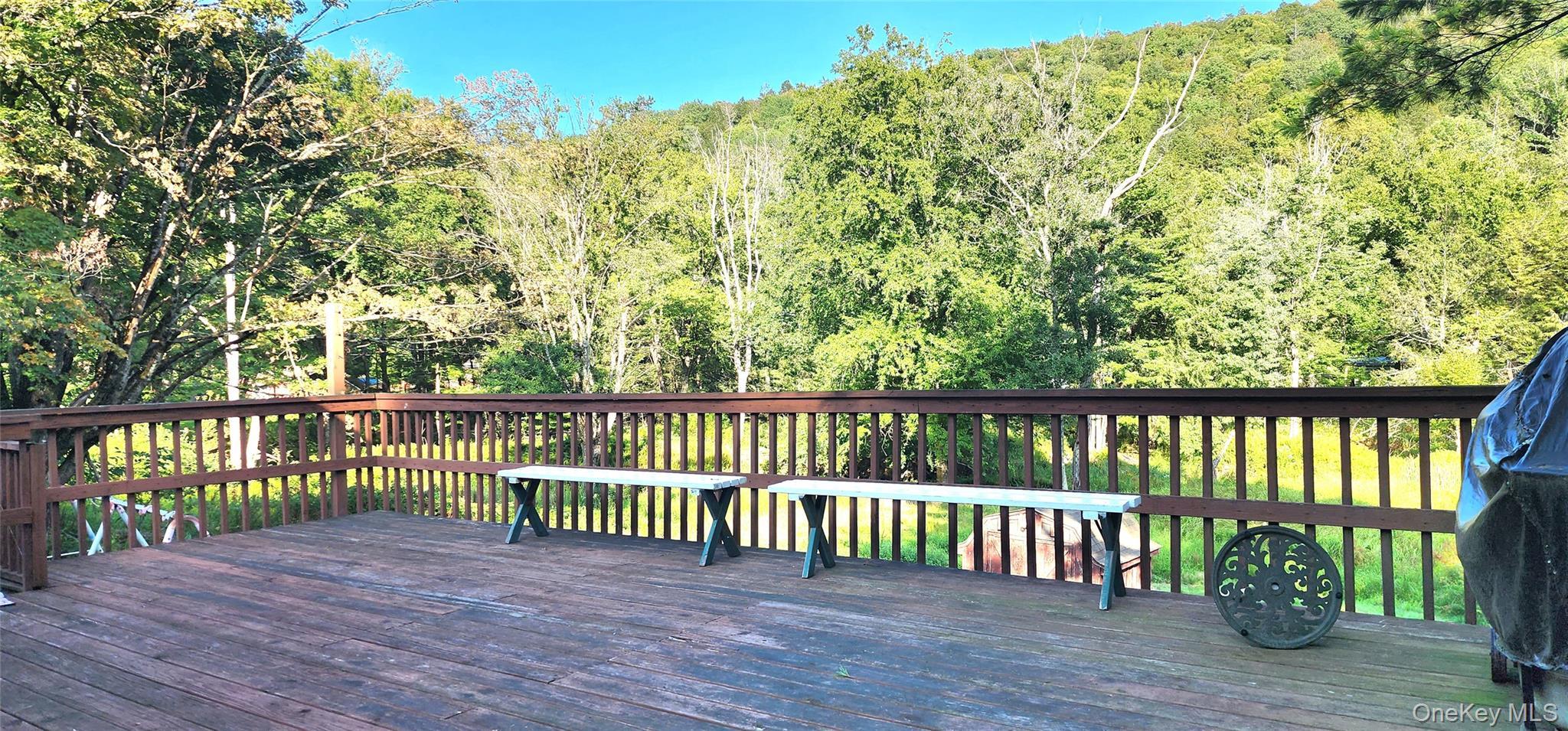 Single Family Brookside  Sullivan County, NY 12788, MLS-899407-8