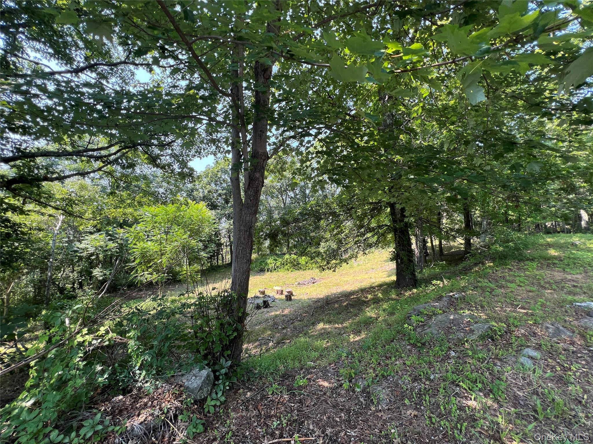 Single Family Rossway  Dutchess County, NY 12540, MLS-899427-40