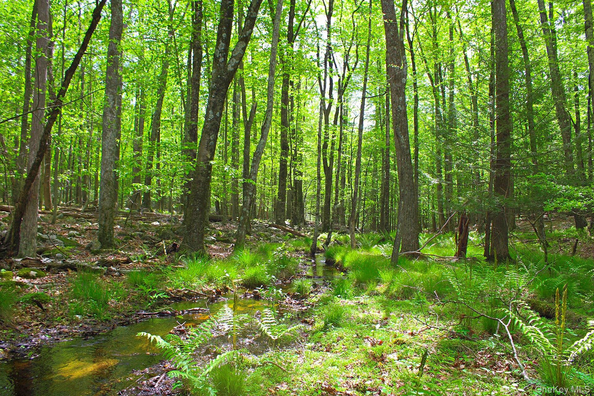 Single Family State Route 52 Ulster County, NY 12566, MLS-899489-41