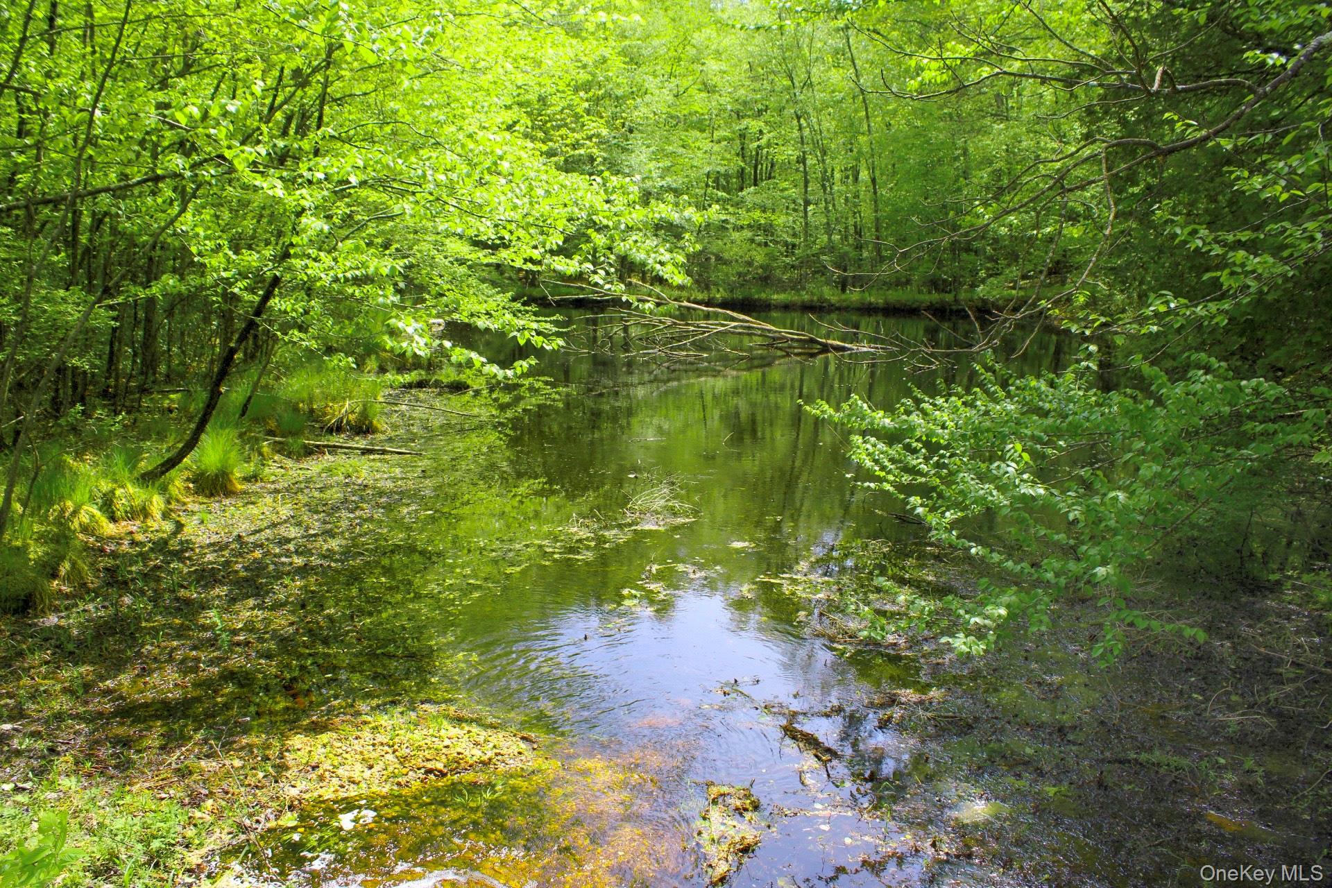 Single Family State Route 52 Ulster County, NY 12566, MLS-899489-42