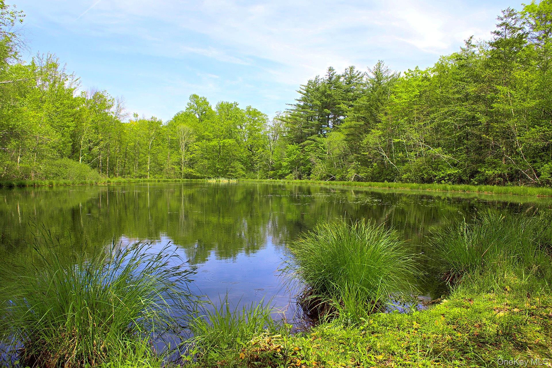 Single Family State Route 52 Ulster County, NY 12566, MLS-899489-43