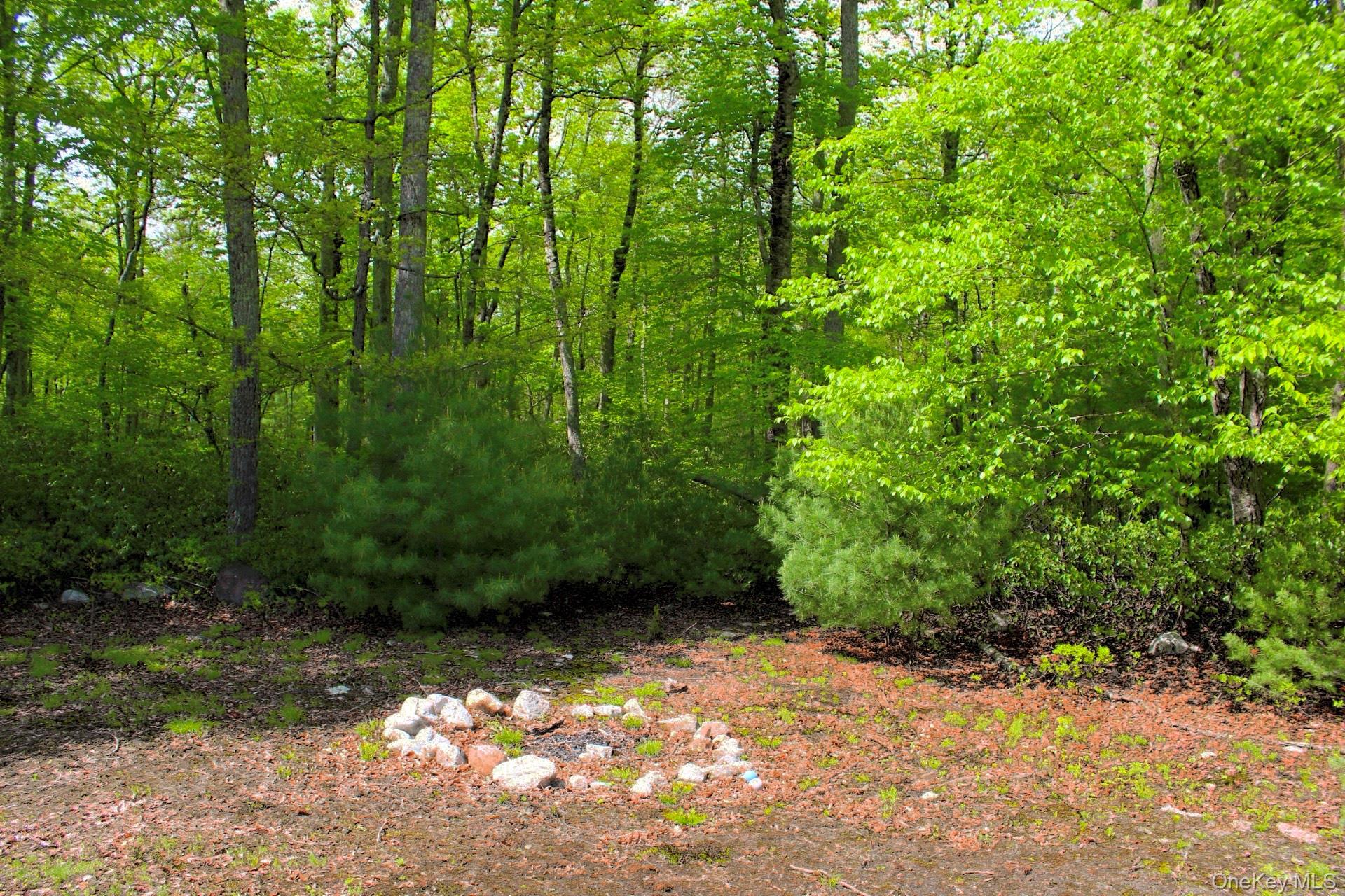 Single Family State Route 52 Ulster County, NY 12566, MLS-899489-44