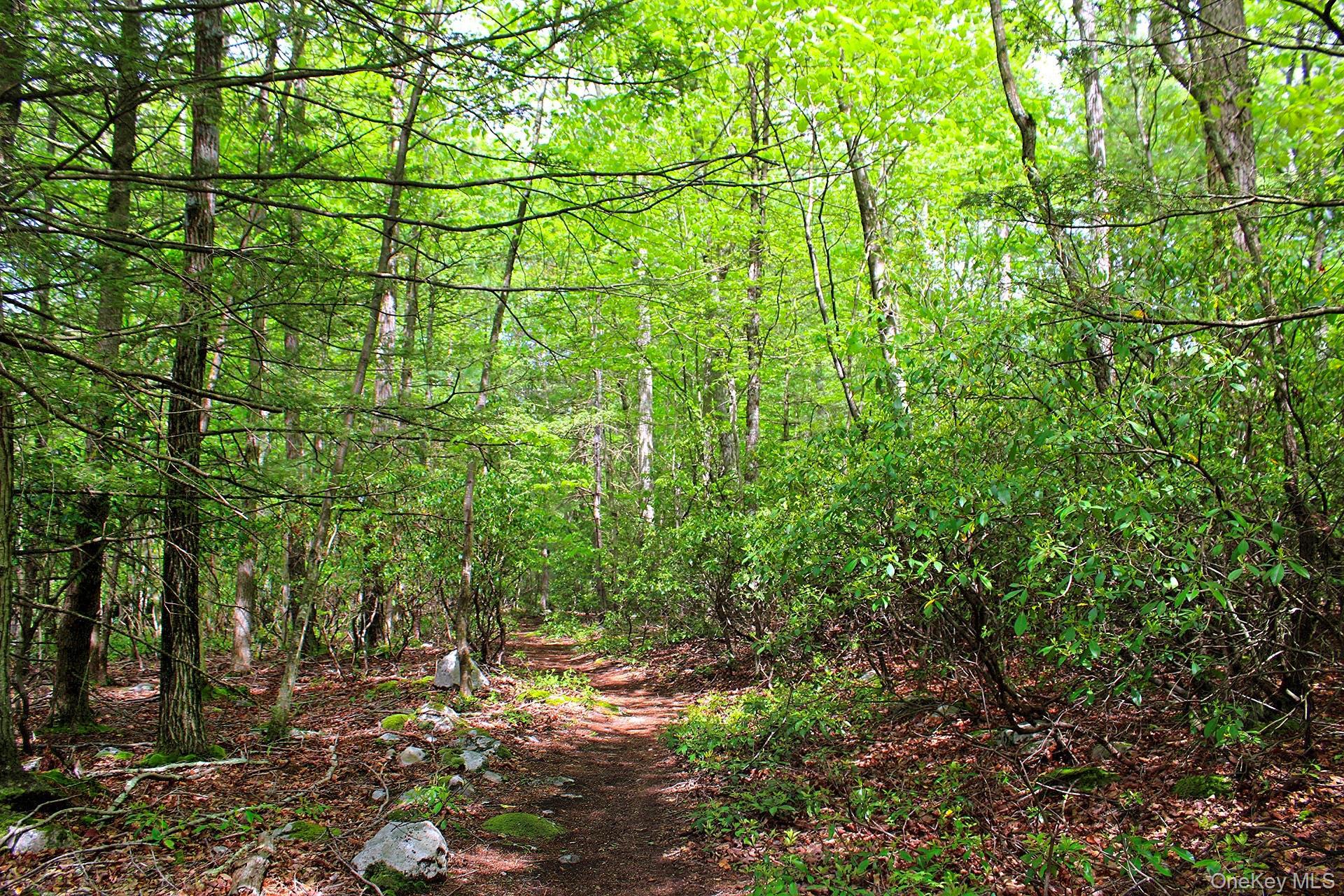 Single Family State Route 52 Ulster County, NY 12566, MLS-899489-45