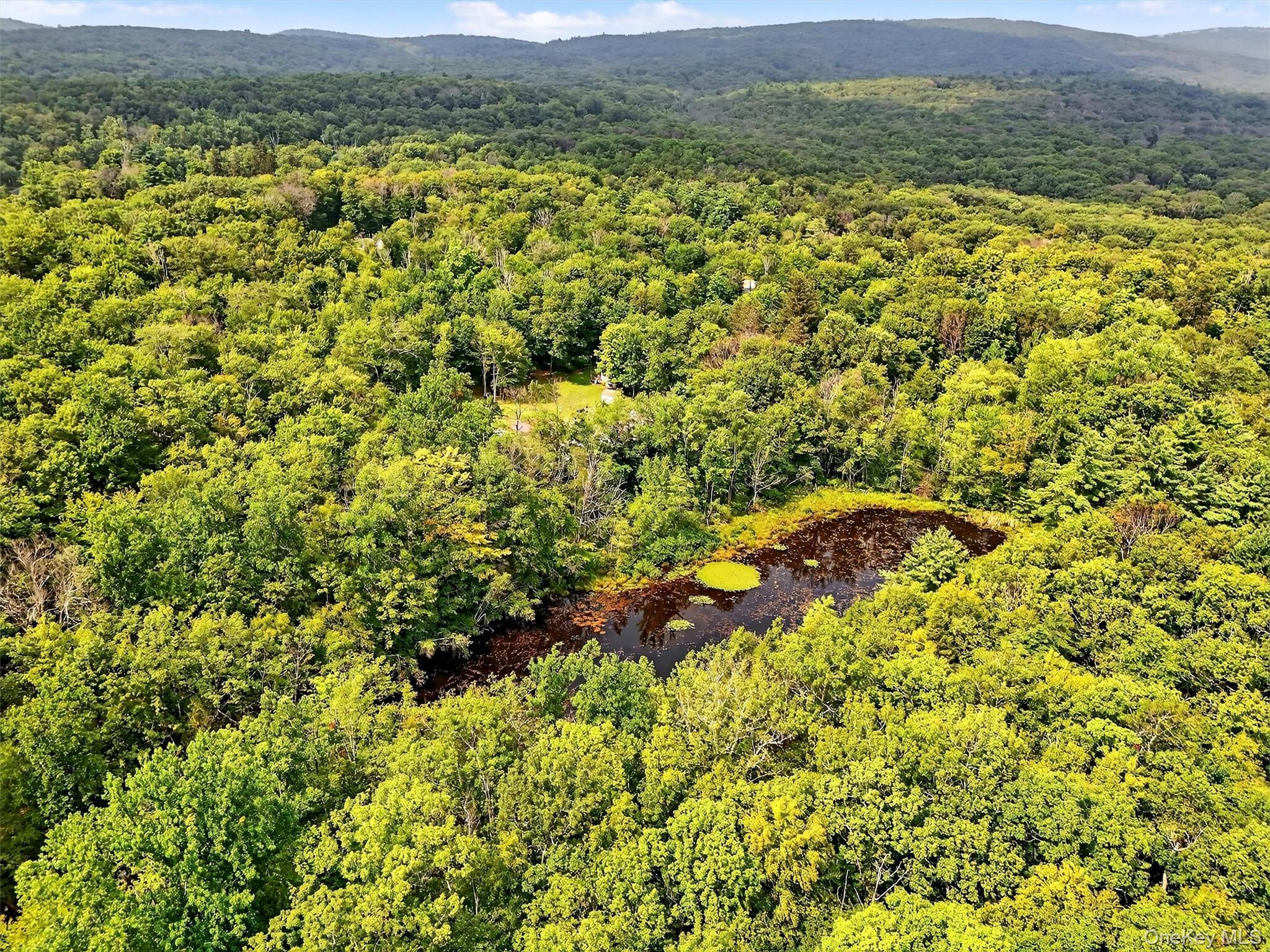 Single Family State Route 52 Ulster County, NY 12566, MLS-899489-49