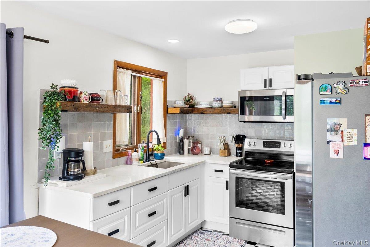 Single Family Alpine  Greene County, NY 12473, MLS-899520-10