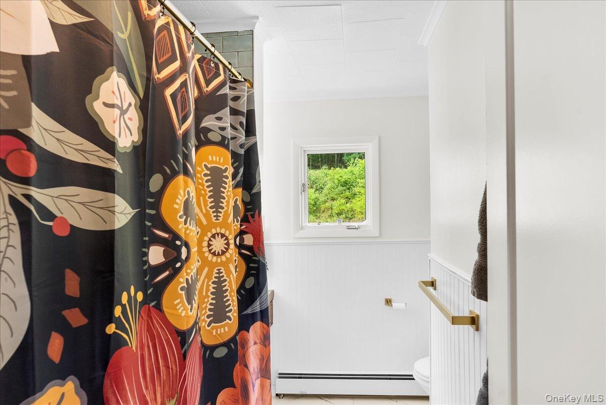 Single Family Alpine  Greene County, NY 12473, MLS-899520-15