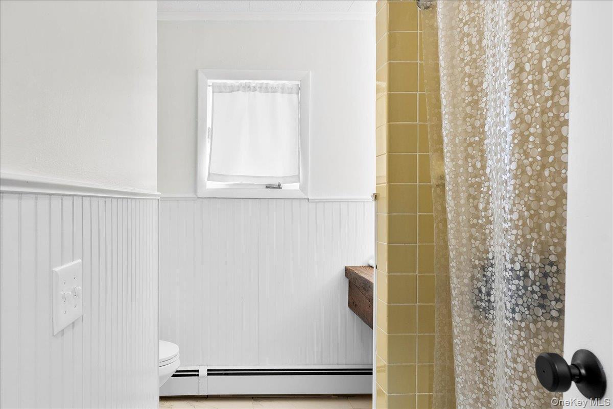 Single Family Alpine  Greene County, NY 12473, MLS-899520-32