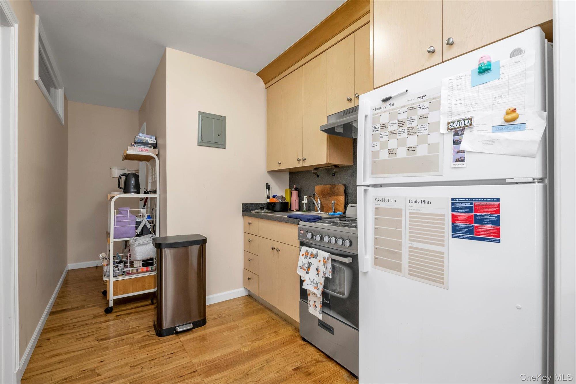 Single Family 164th Queens, NY 11365, MLS-899535-10