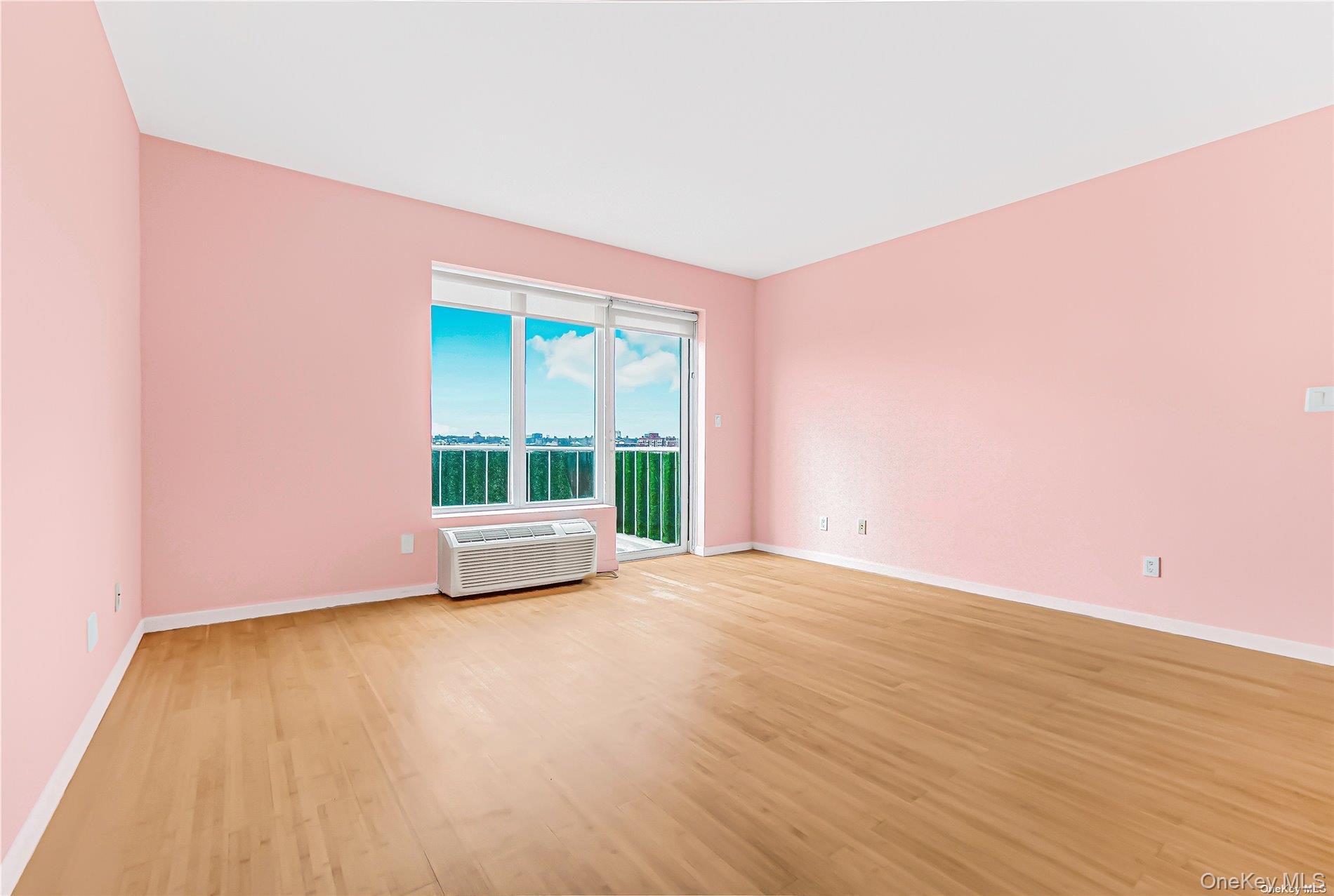 Condo Northern Queens, NY 11368, MLS-899577-11