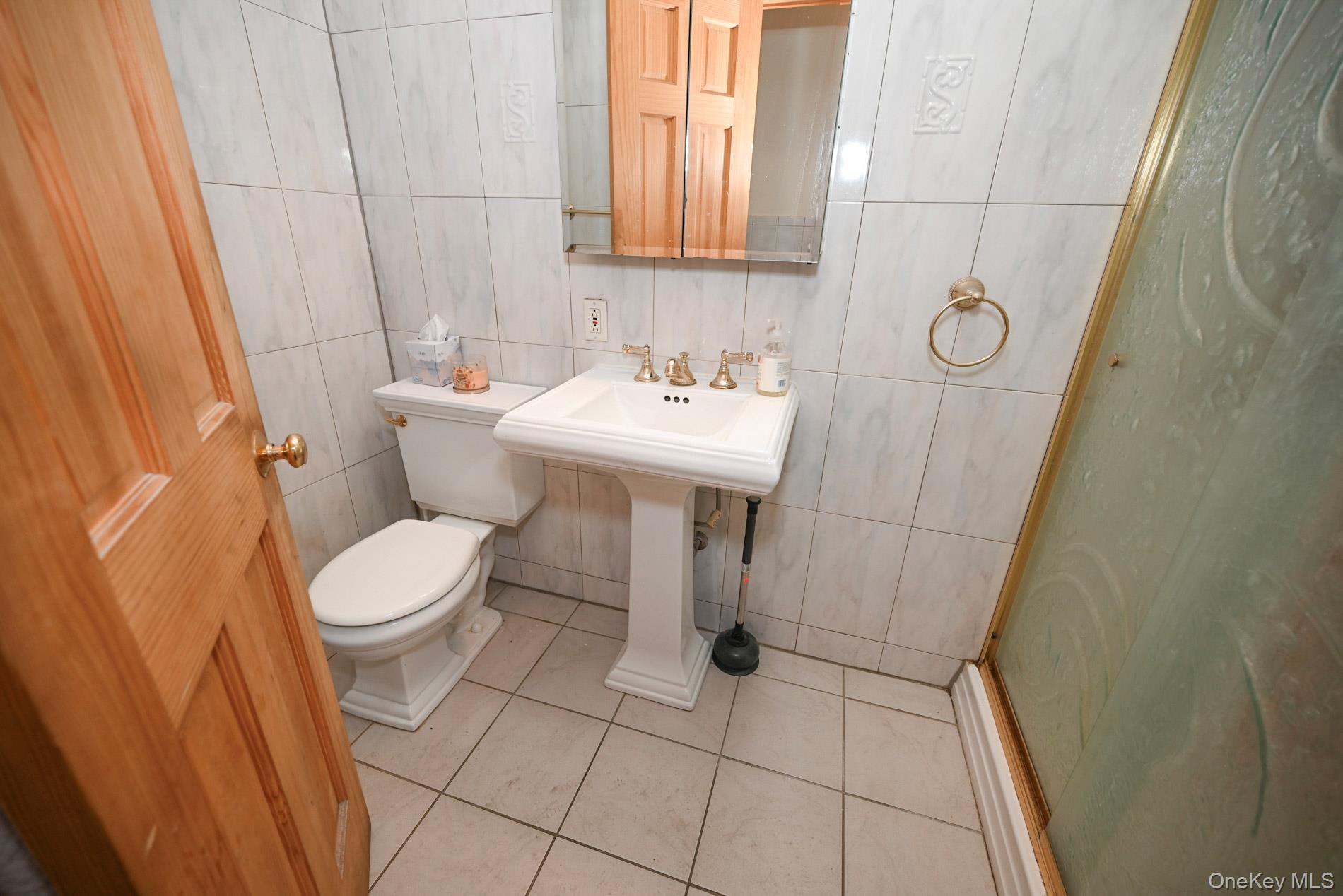 Single Family Flushing Queens, NY 11378, MLS-899607-9