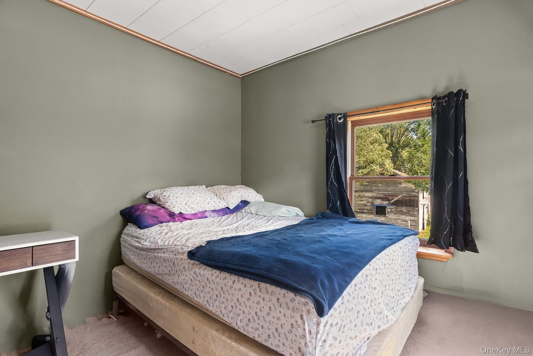 Single Family River  Delaware County, NY 12167, MLS-899739-13