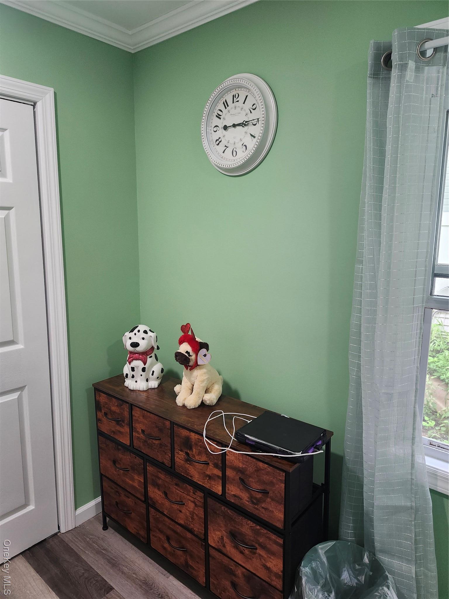 Single Family Brook Nassau County, NY 11756, MLS-899744-42