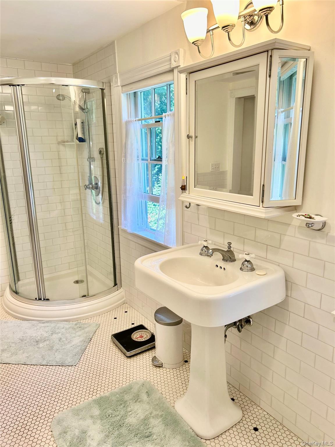 Single Family Meadow  Suffolk County, NY 11790, MLS-899788-13