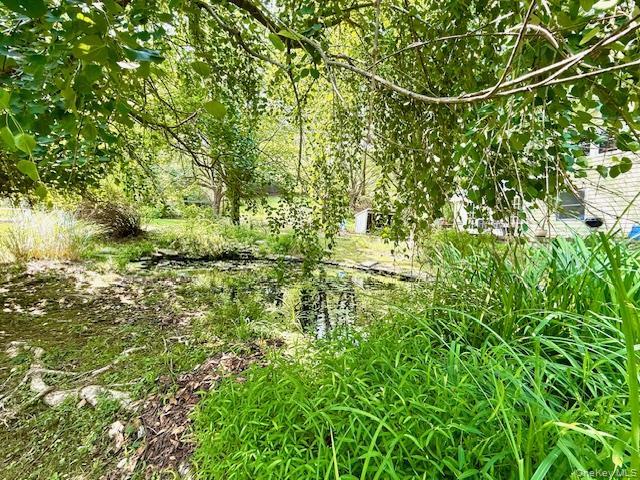 Single Family High Sullivan County, NY 12737, MLS-900032-11