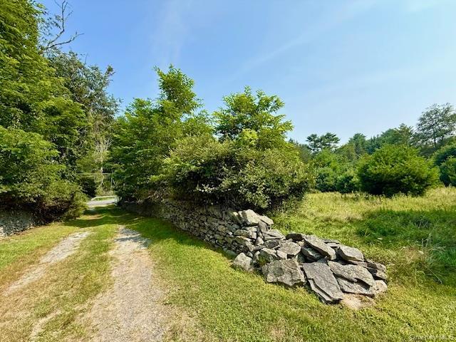 Single Family High Sullivan County, NY 12737, MLS-900032-4