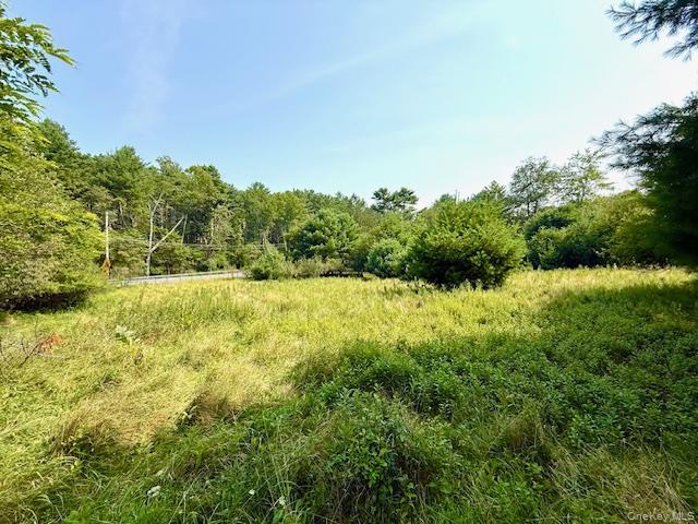 Single Family High Sullivan County, NY 12737, MLS-900032-5