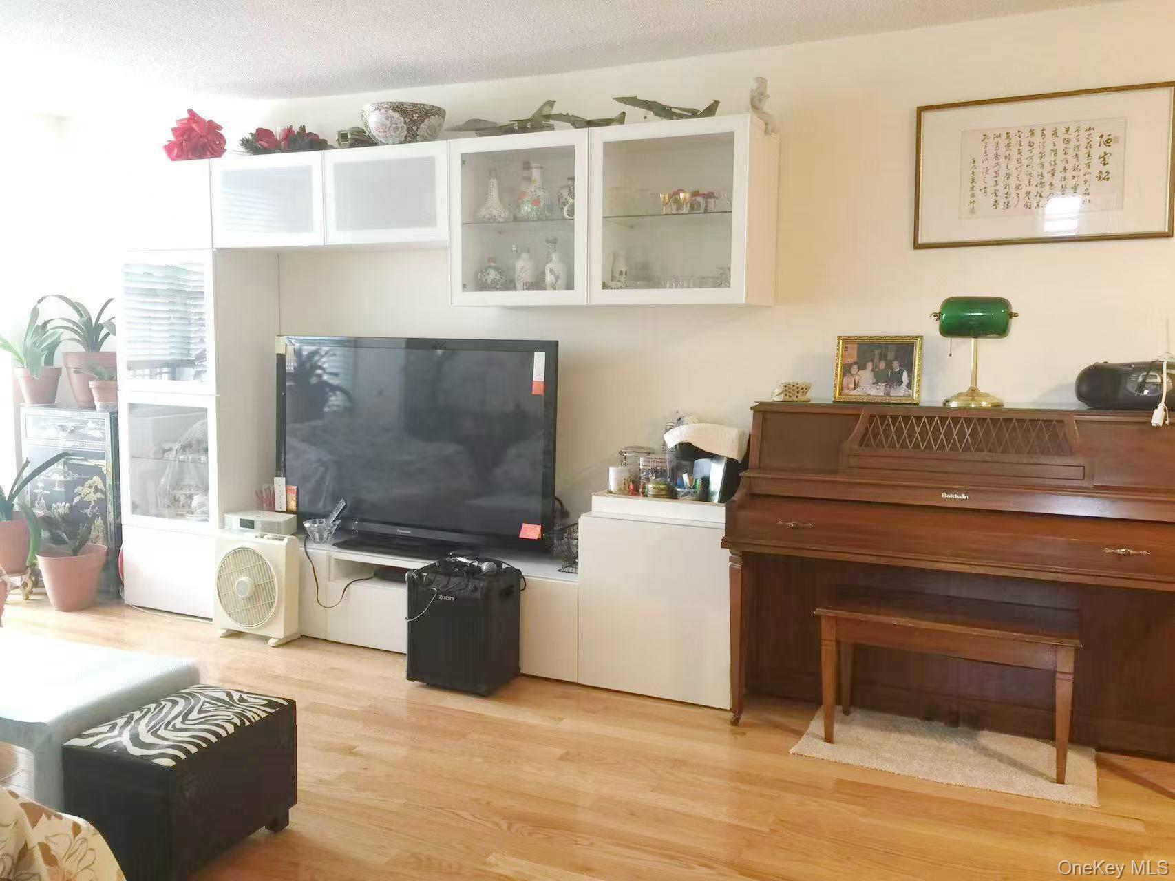 Condo Union St  Queens, NY 11353, MLS-900062-11