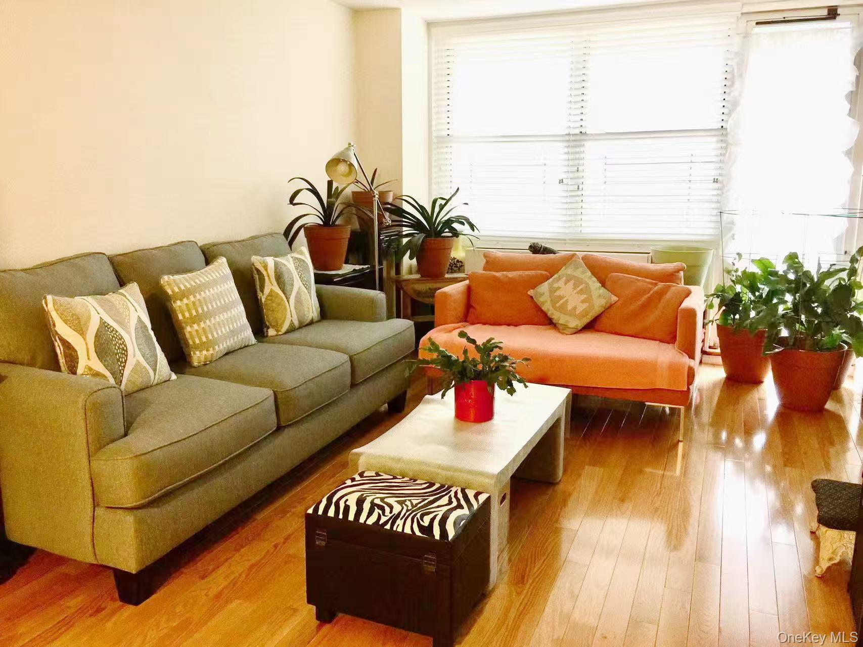 Condo Union St  Queens, NY 11353, MLS-900062-5