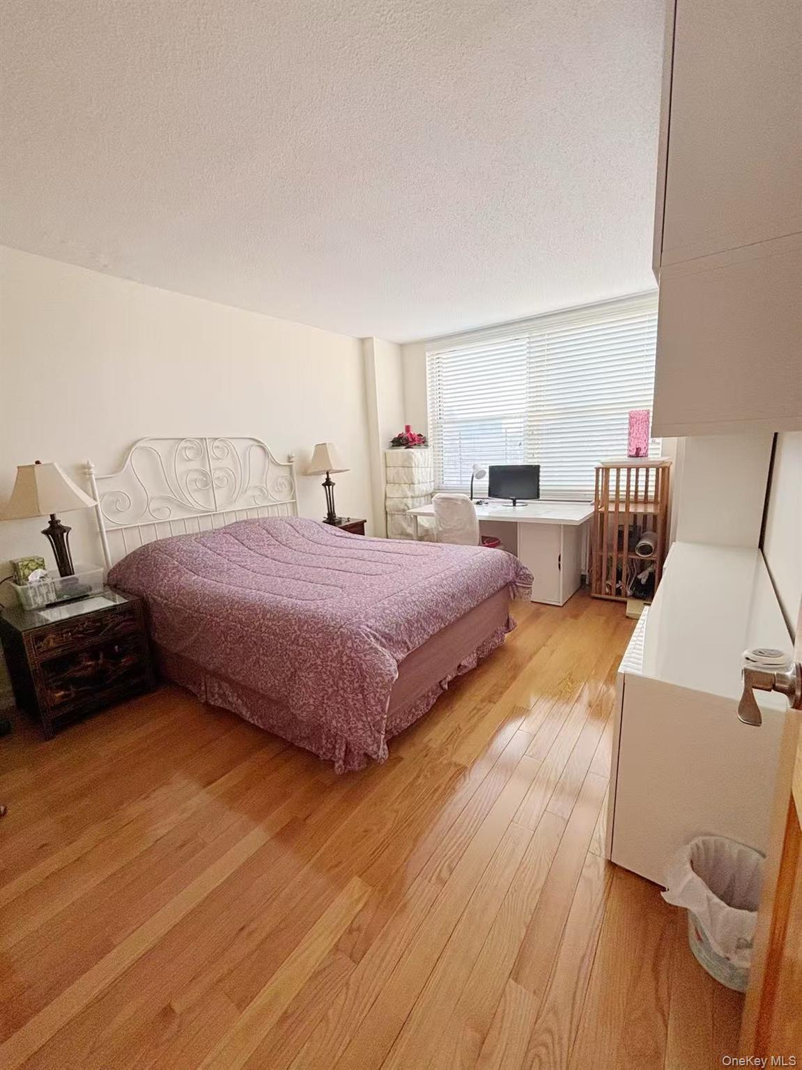 Condo Union St  Queens, NY 11353, MLS-900062-7