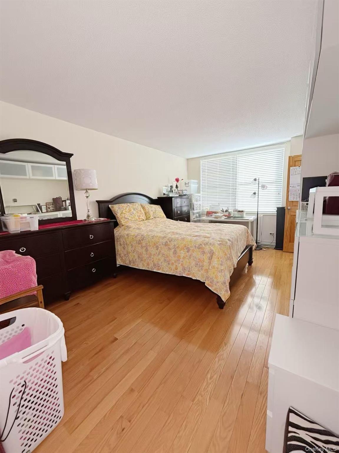 Condo Union St  Queens, NY 11353, MLS-900062-8