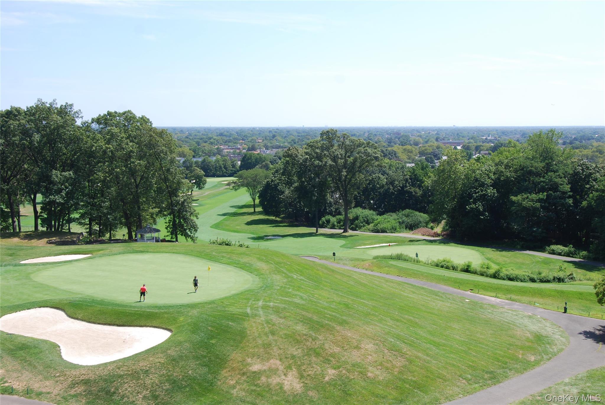 Coop Grand Central Parkway  Queens, NY 11005, MLS-900085-19