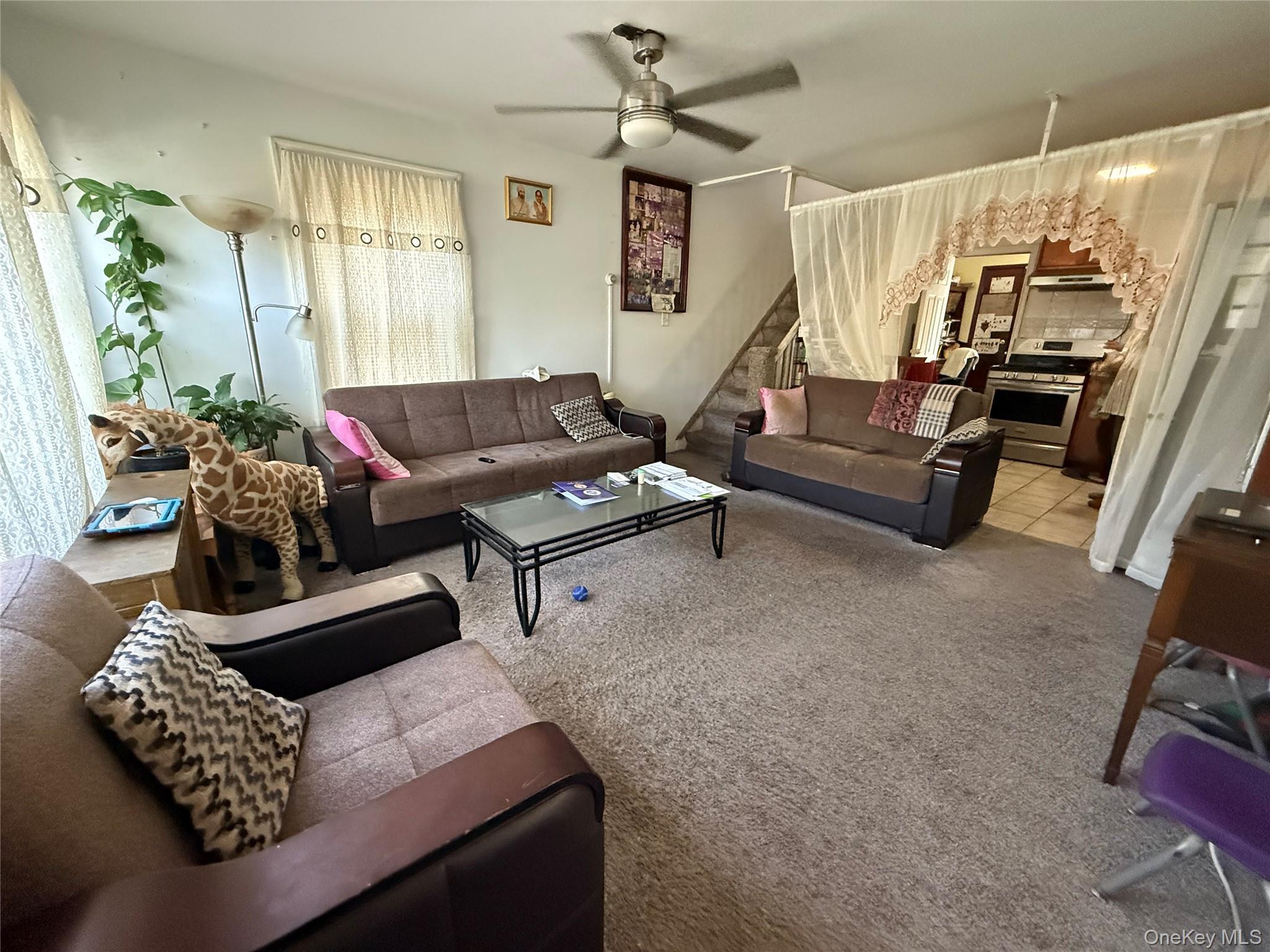 Single Family 111  Queens, NY 11420, MLS-900102-3