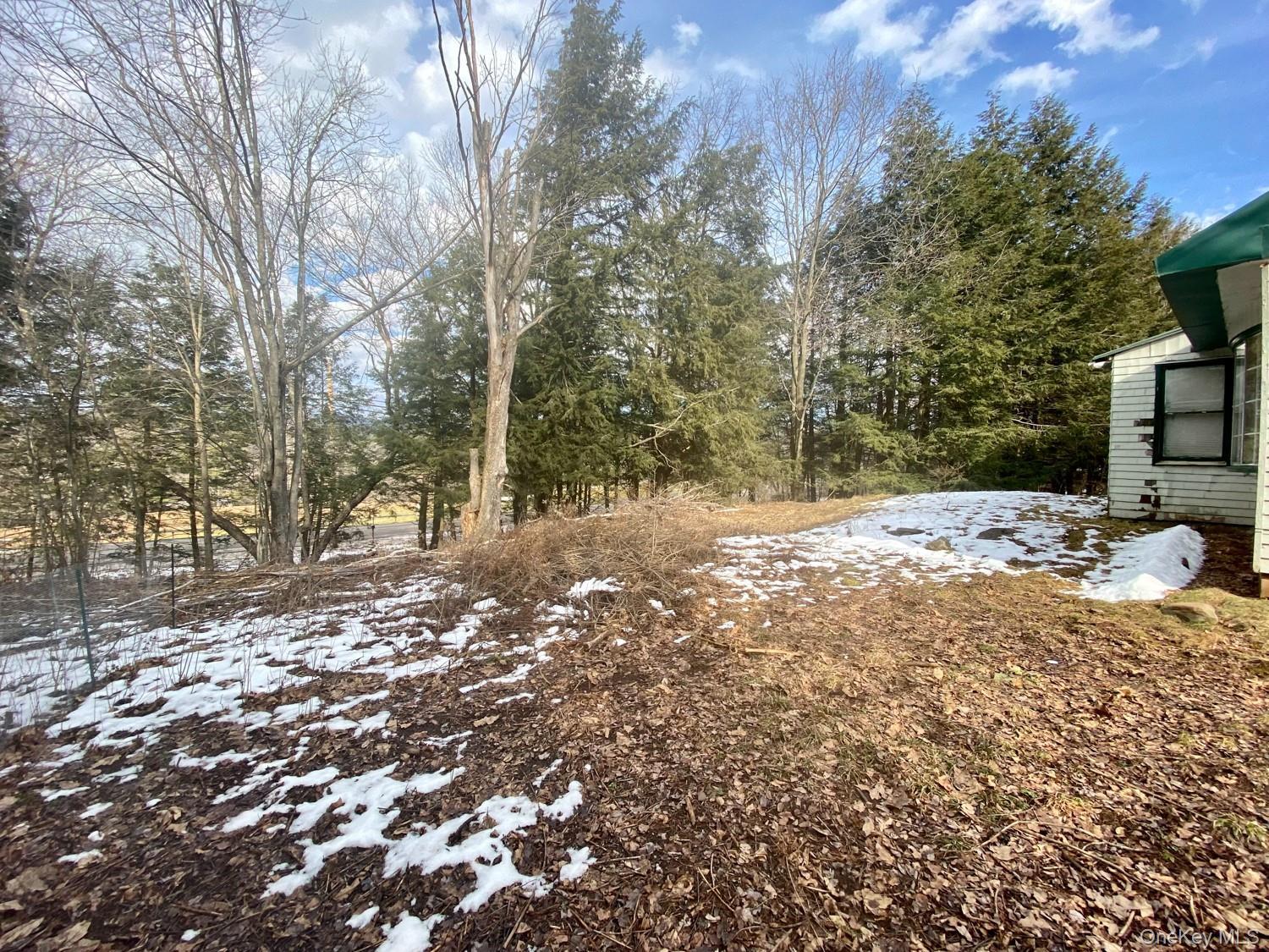 Single Family South Greene County, NY 12496, MLS-900170-16