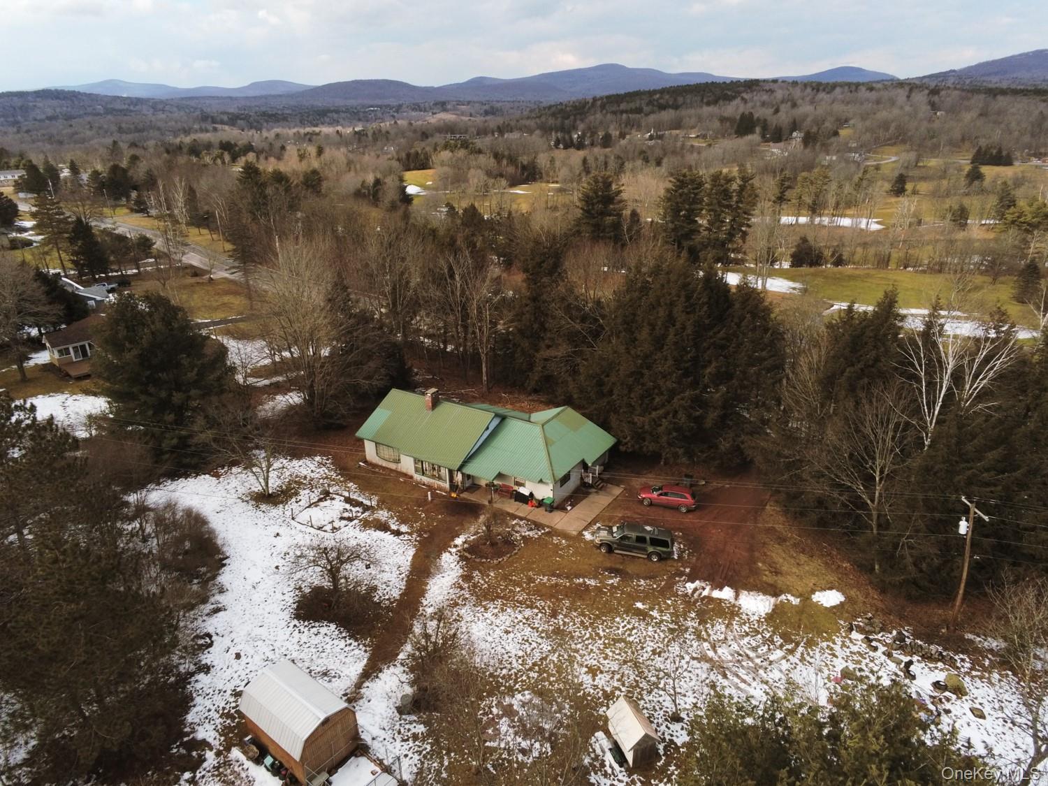 Single Family South Greene County, NY 12496, MLS-900170-2