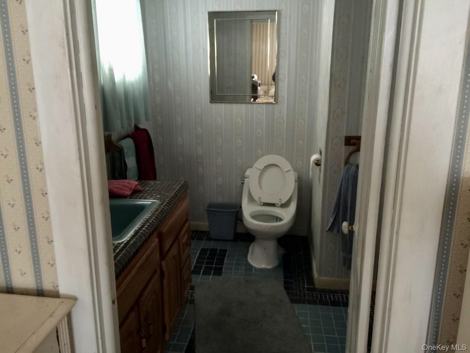 Single Family South Greene County, NY 12496, MLS-900170-22