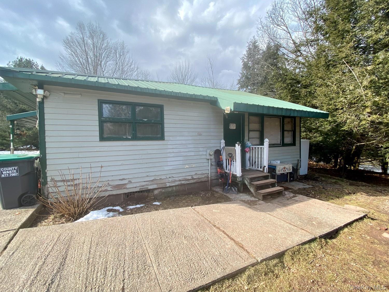Single Family South Greene County, NY 12496, MLS-900170-28
