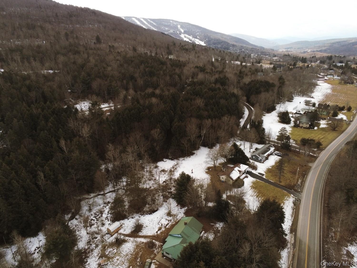 Single Family South Greene County, NY 12496, MLS-900170-3