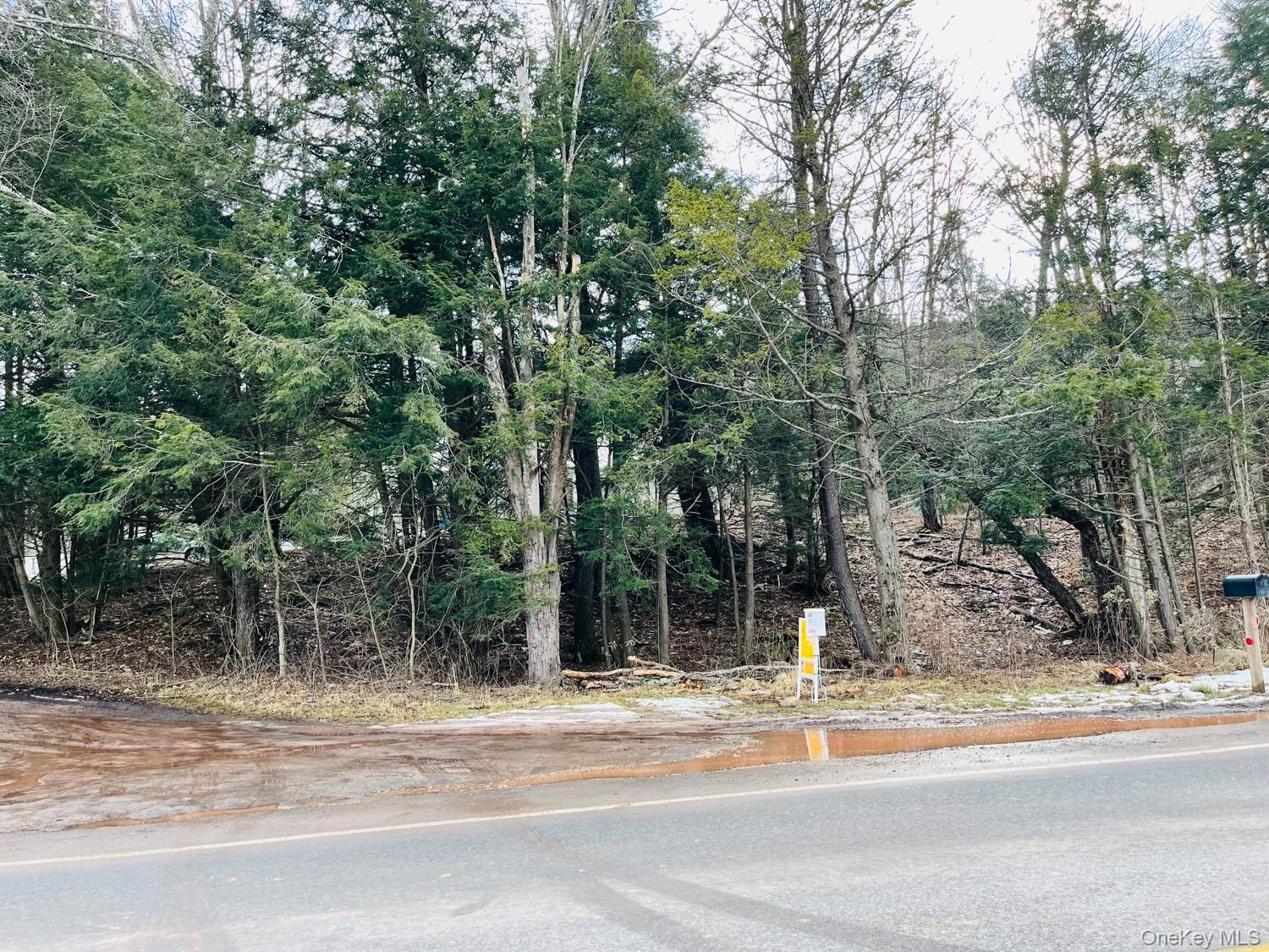 Single Family South Greene County, NY 12496, MLS-900170-31