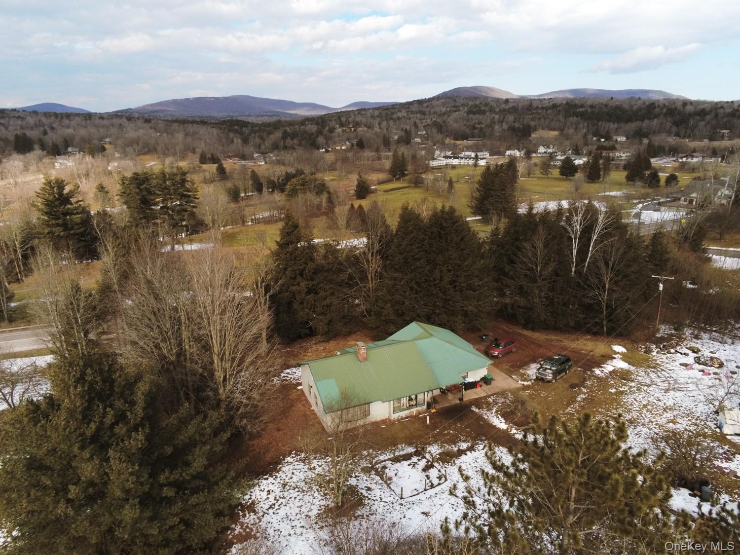 Single Family South Greene County, NY 12496, MLS-900170-4
