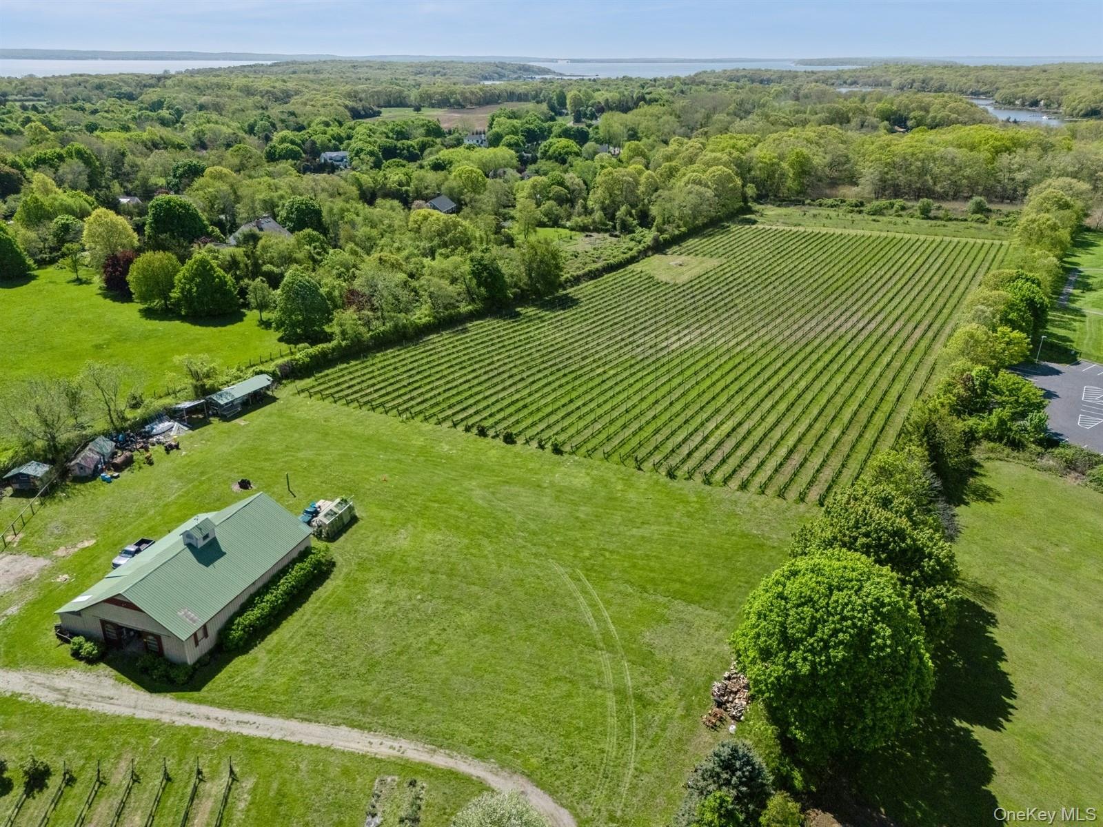 Single Family Main Suffolk County, NY 11935, MLS-900202-2