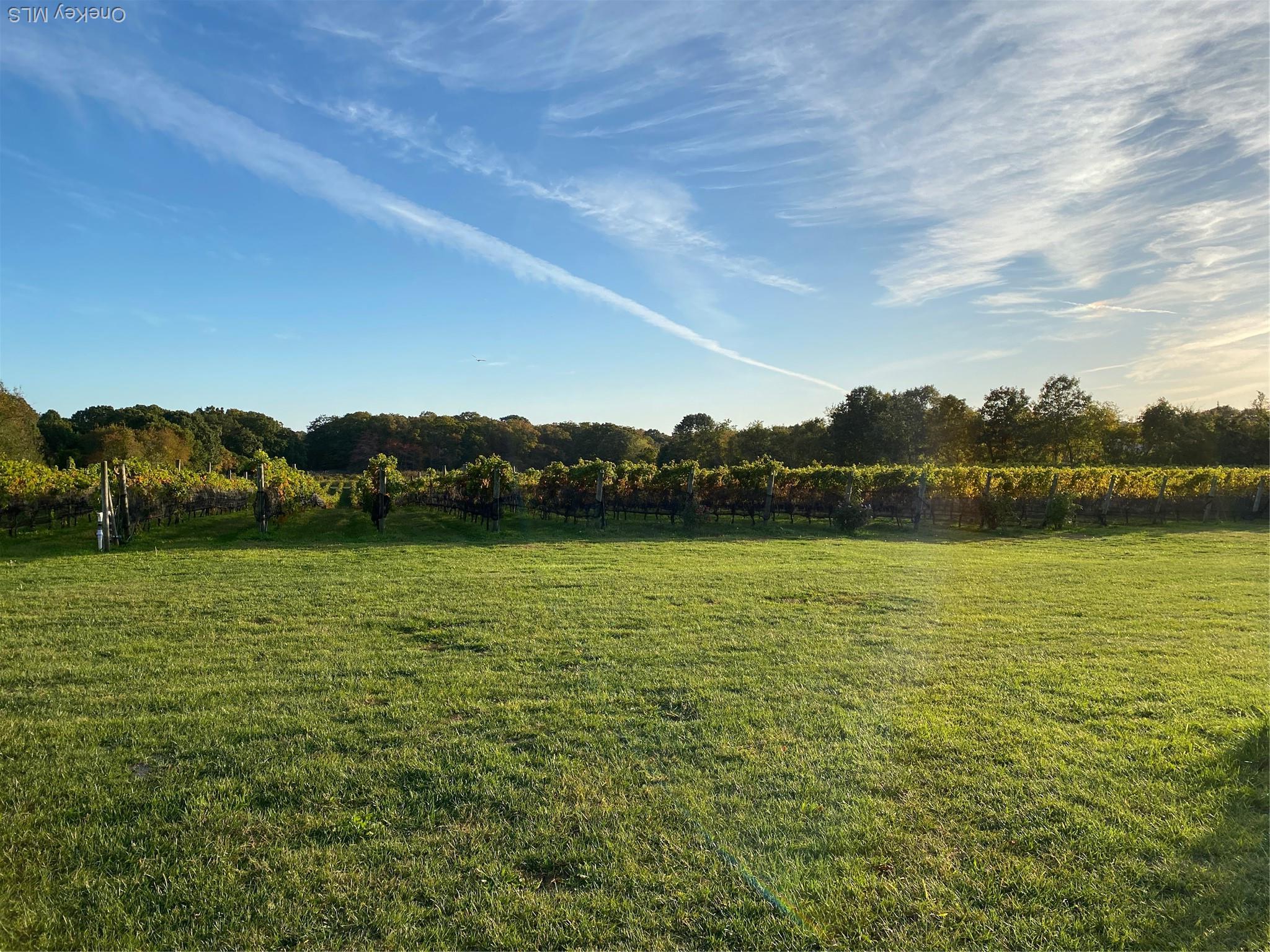 Single Family Main Suffolk County, NY 11935, MLS-900202-36